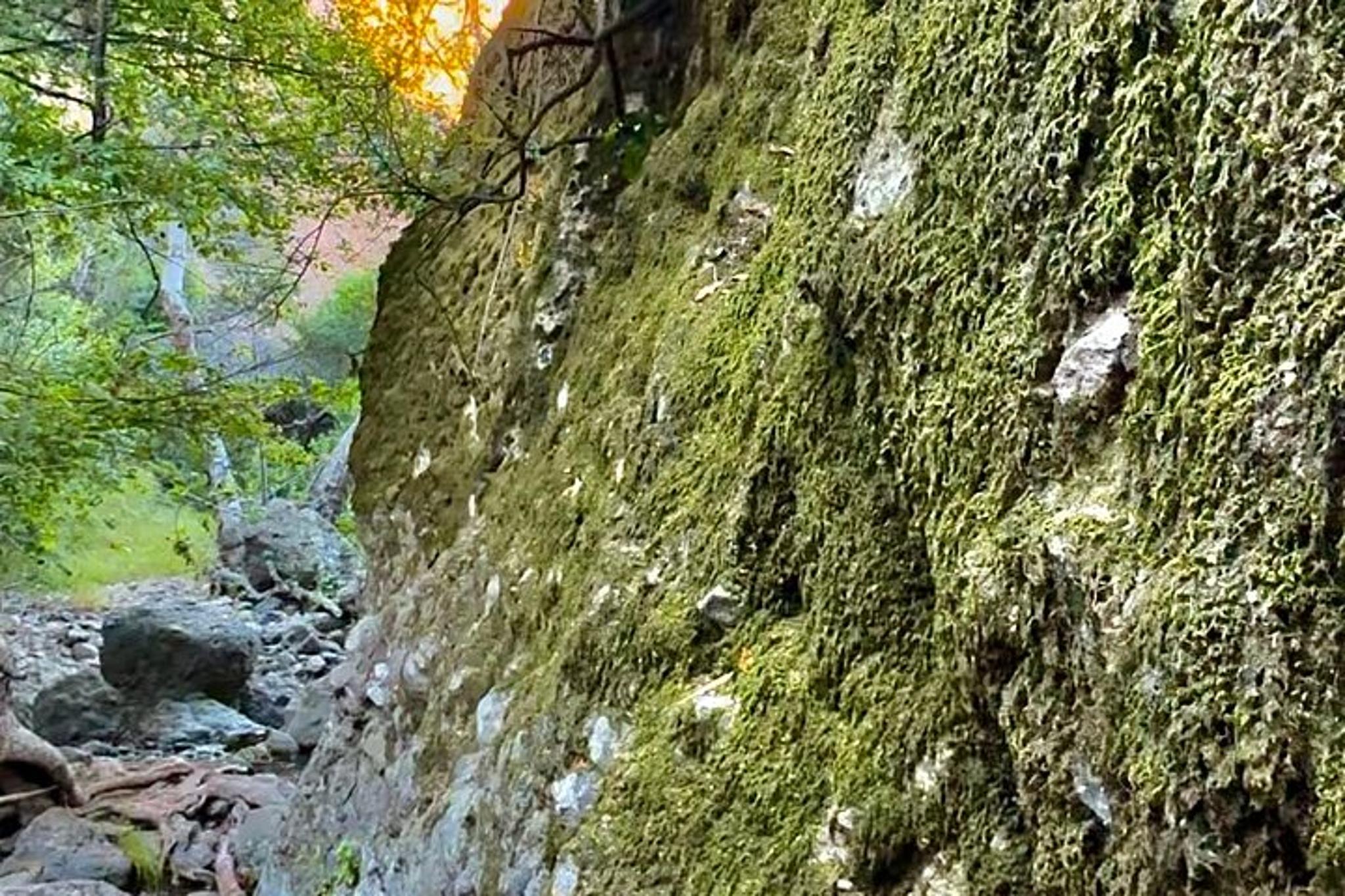 Malibu E-Mountain Bike and Hike Adventure - Image 4