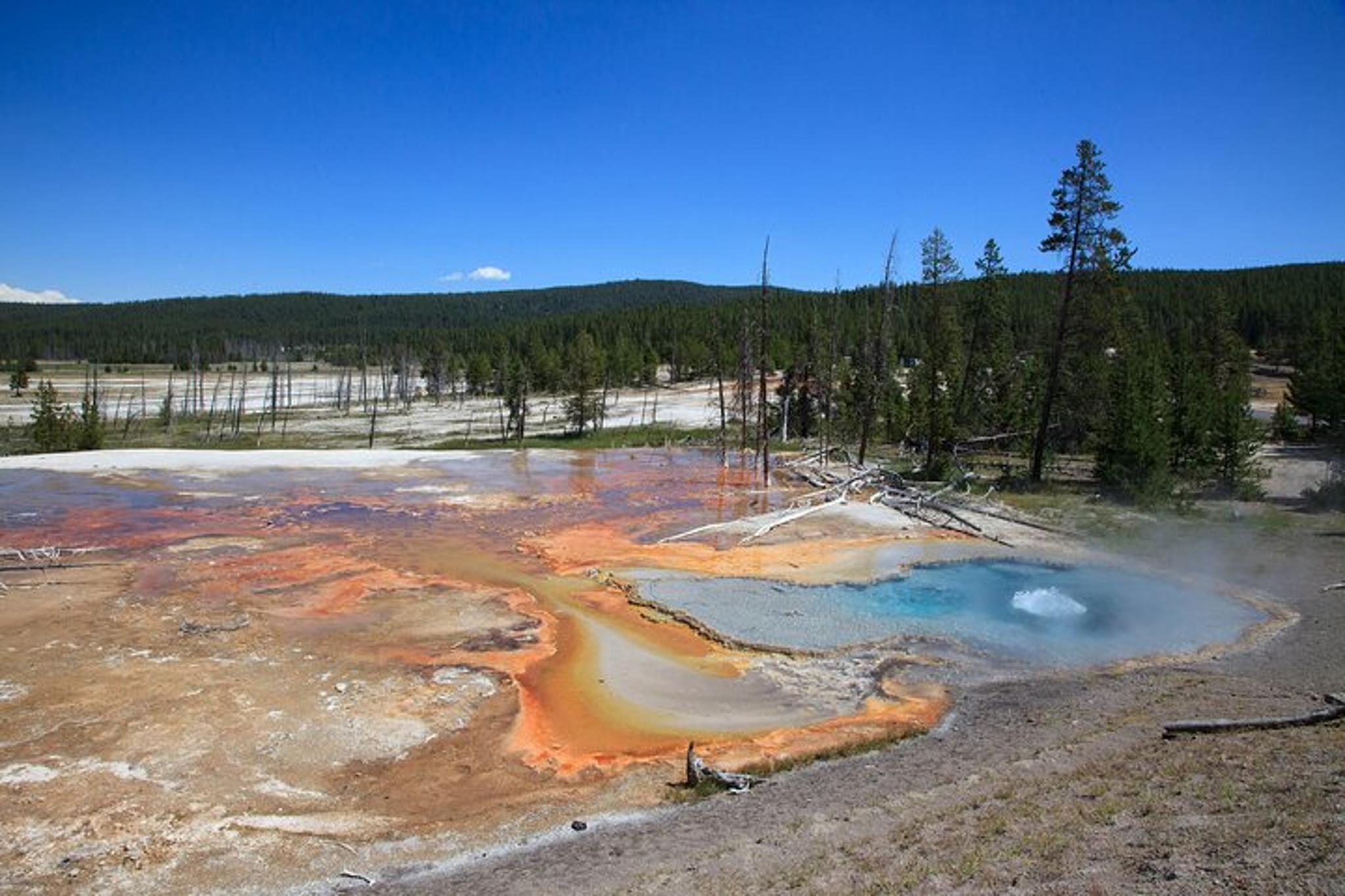 Bozeman Yellowstone Guided Tour - Image 5