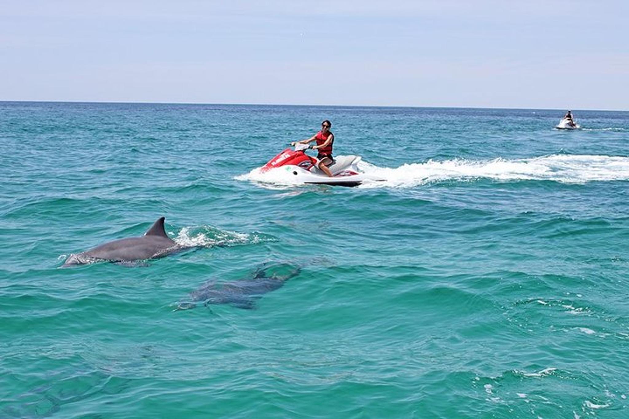Okaloosa Island Waverunner Dolphin Tour 90 min