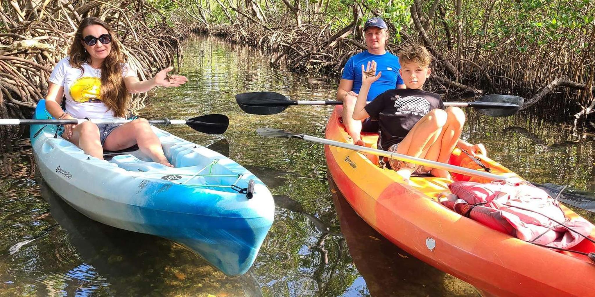 Sarasota Lido Key Mangrove Tunnel Kayak Tour 2 hr - Image 5