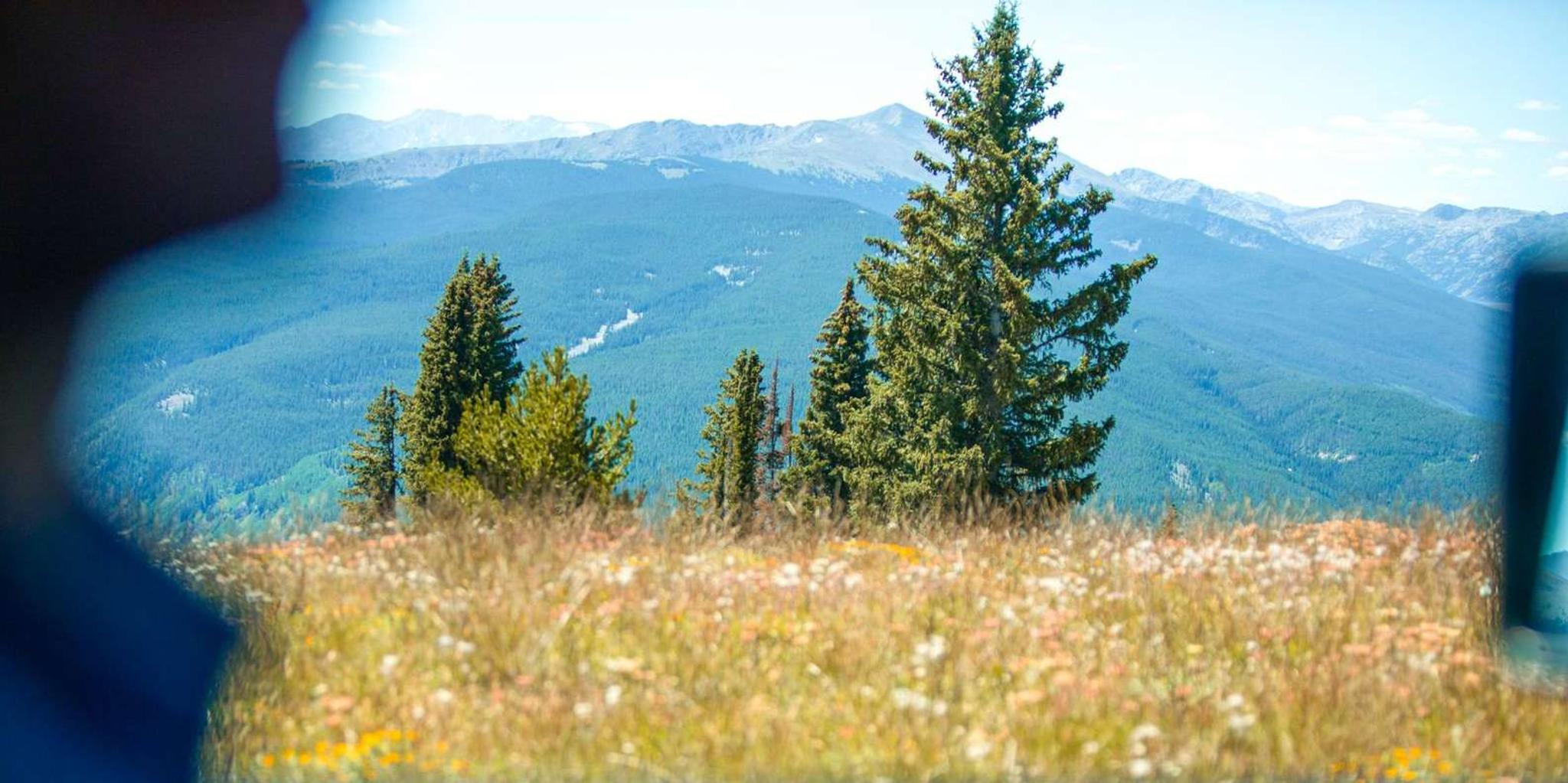 Idaho Springs Jeep Tour in the Scenic Backcountry - Image 6