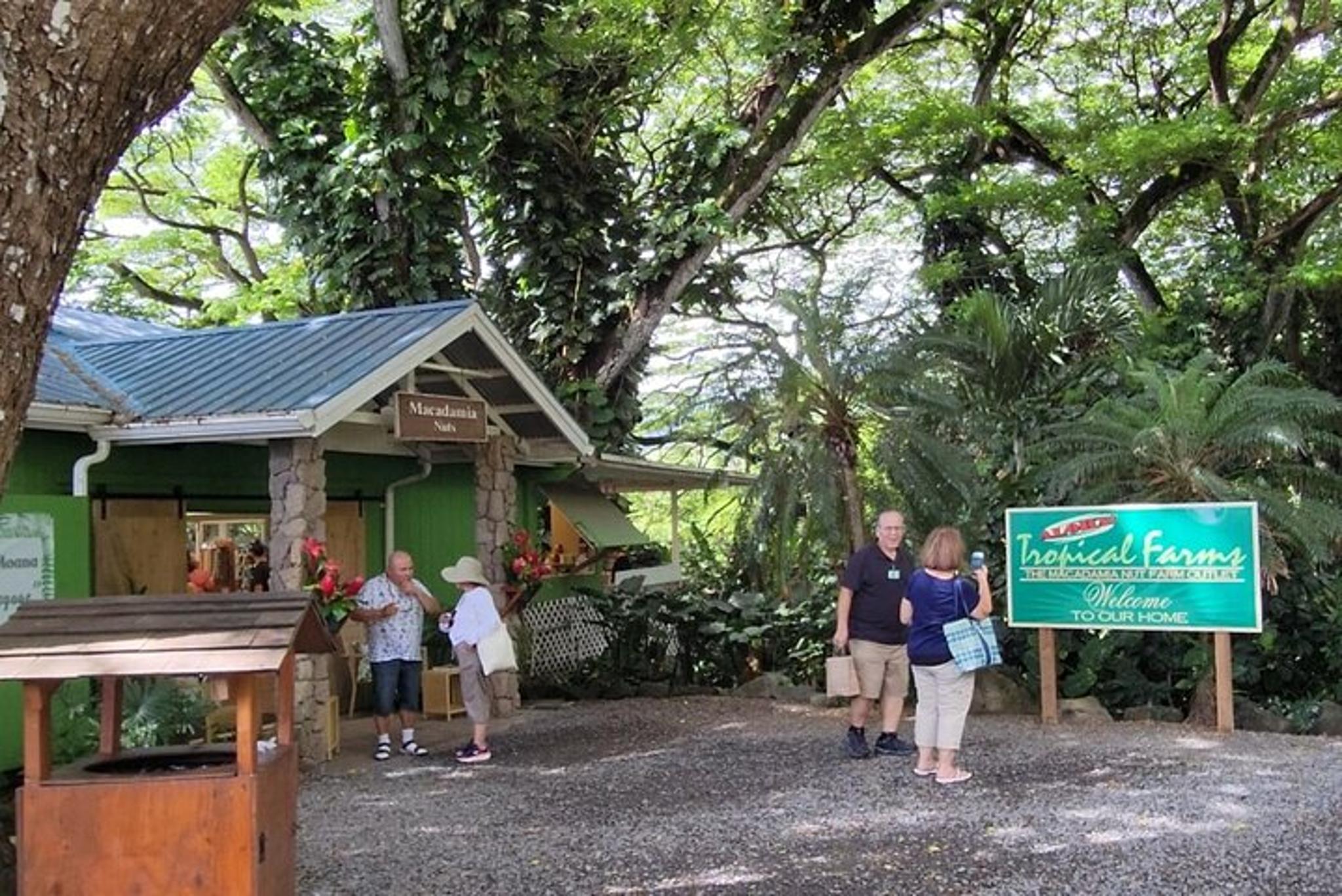 Oahu Snorkeling Tour with Turtles - Image 2