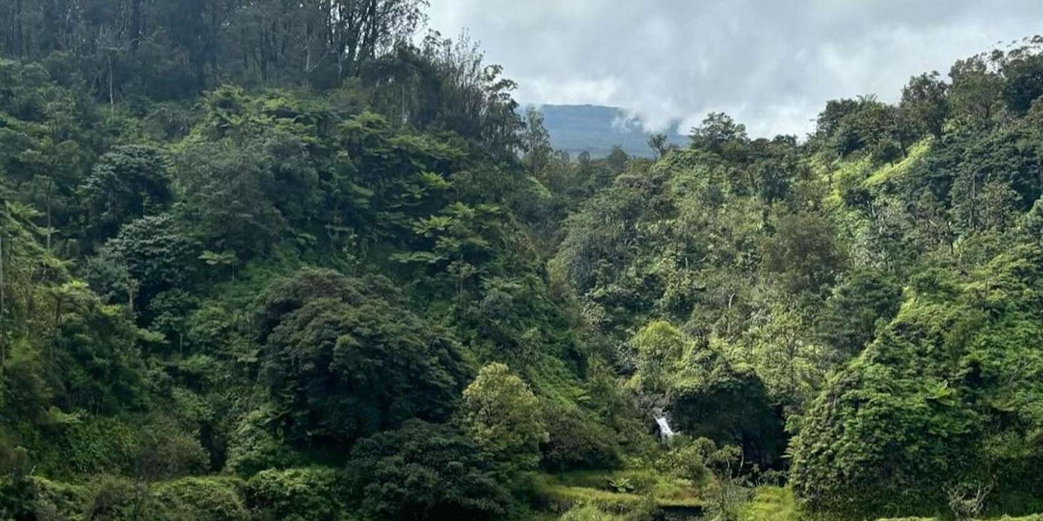Maui Road to Hana Adventure - Image 3