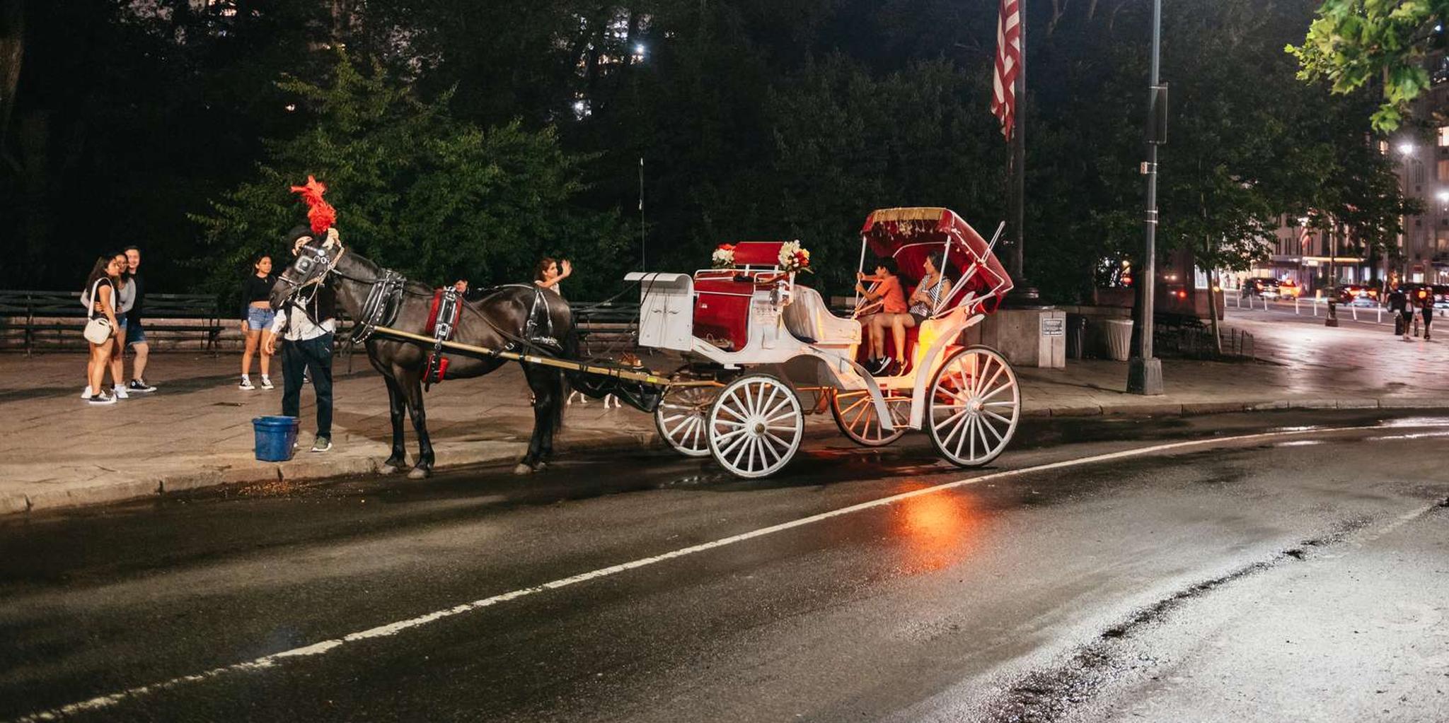 New York City Carriage Ride through Central Park, Rockefeller & Times Square - Image 6