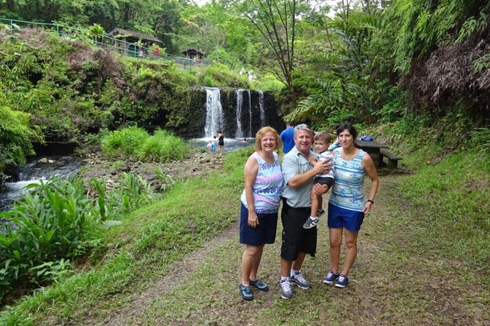 Maui Private Road Tour in Mercedes Sprinter - Image 4