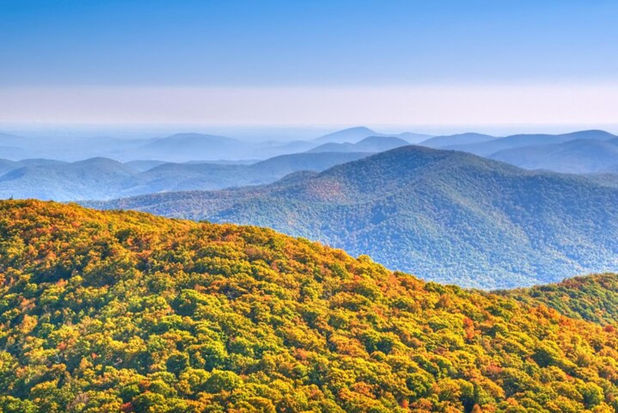 Atlanta Wine Tasting Tour in North Georgia Mountains - Image 6