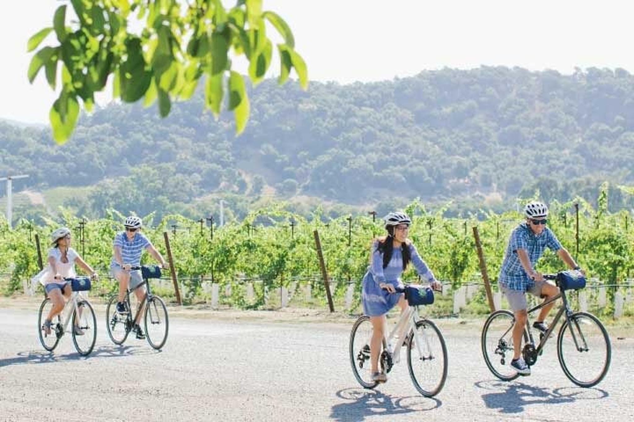 Napa Winery E-Bike Tour - Image 4