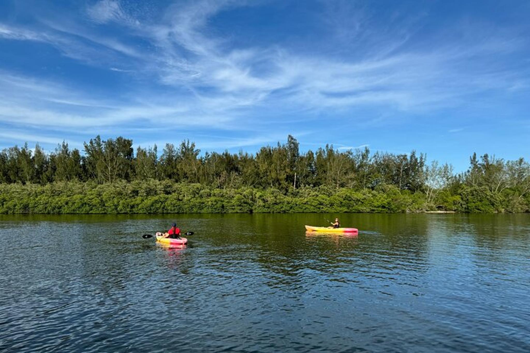 Vero Beach Kayak and Paddle Board Tour - Image 3