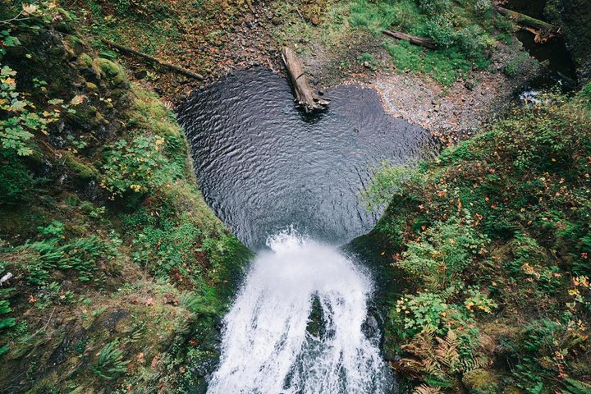 Portland Multnomah Falls and Columbia River Gorge Tour - Image 1