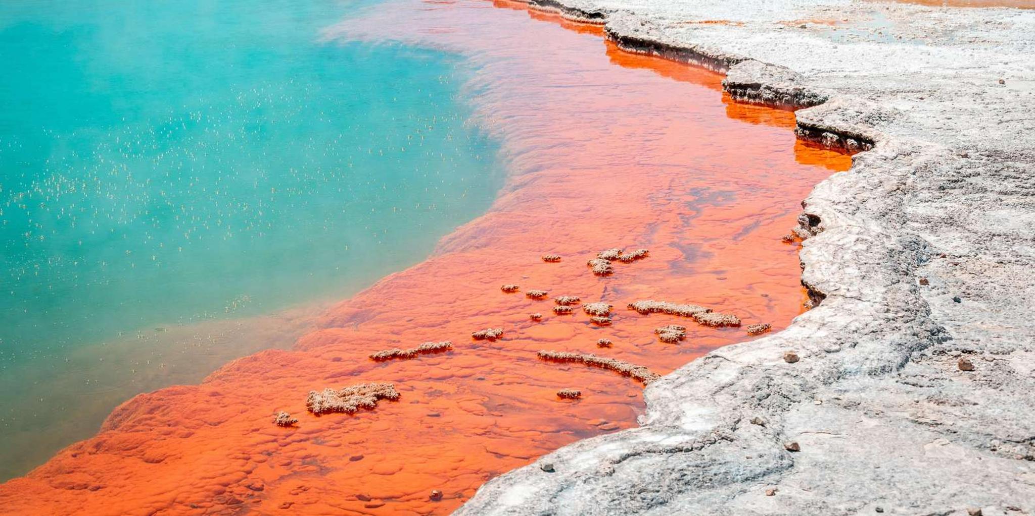 Salt Lake City Yellowstone & Grand Teton Tour 5 Days - Image 3