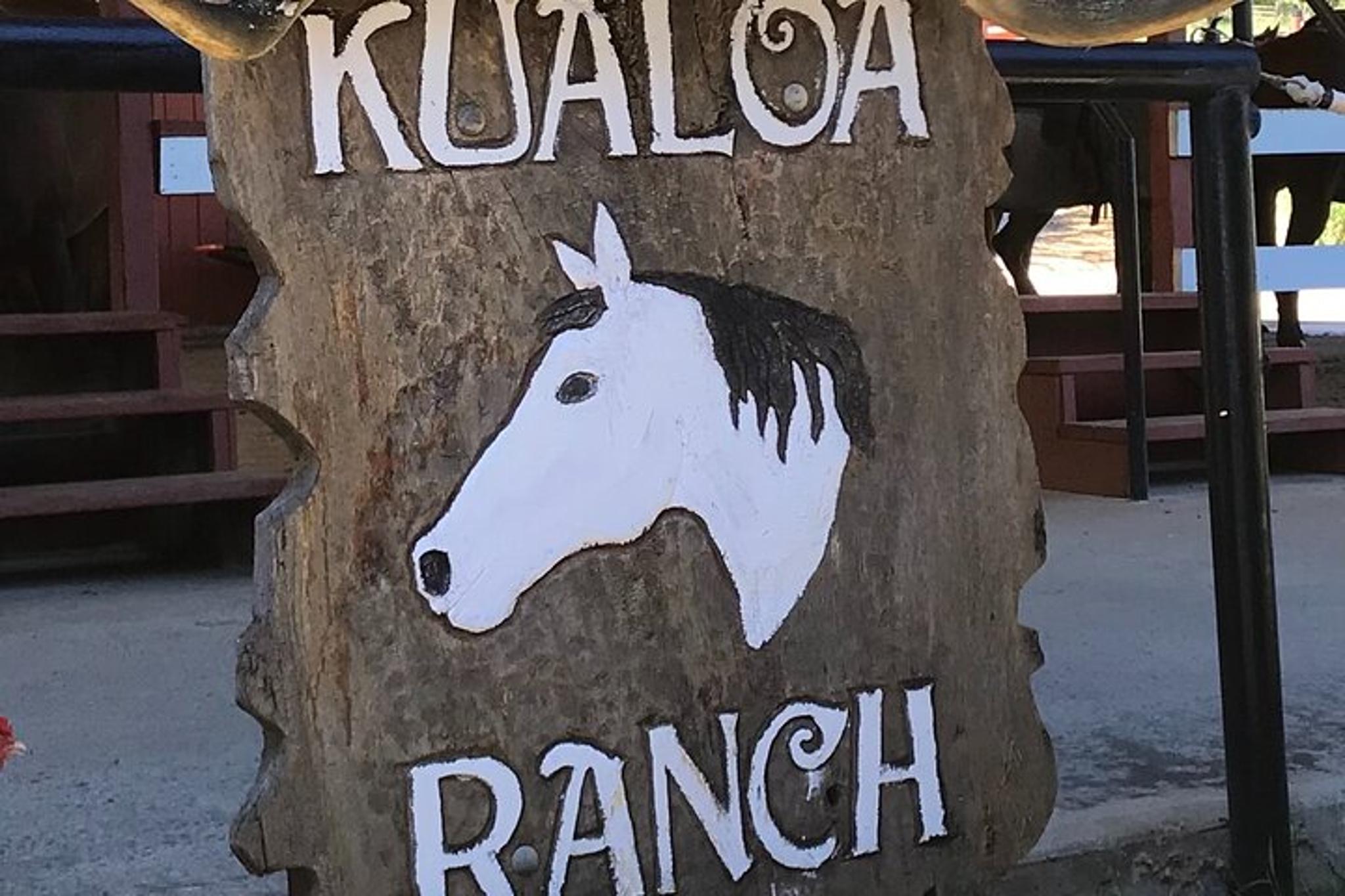 Oahu Circle Island Tour Full Day - Image 3