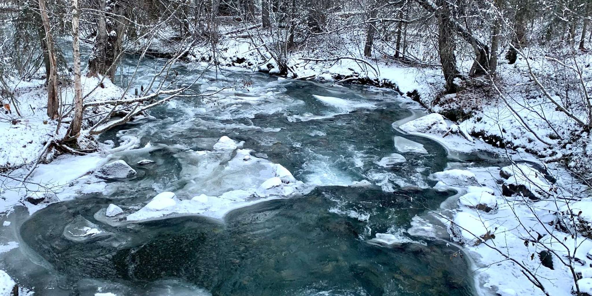 Anchorage Chugach State Park Winter Walking Tour - Image 4