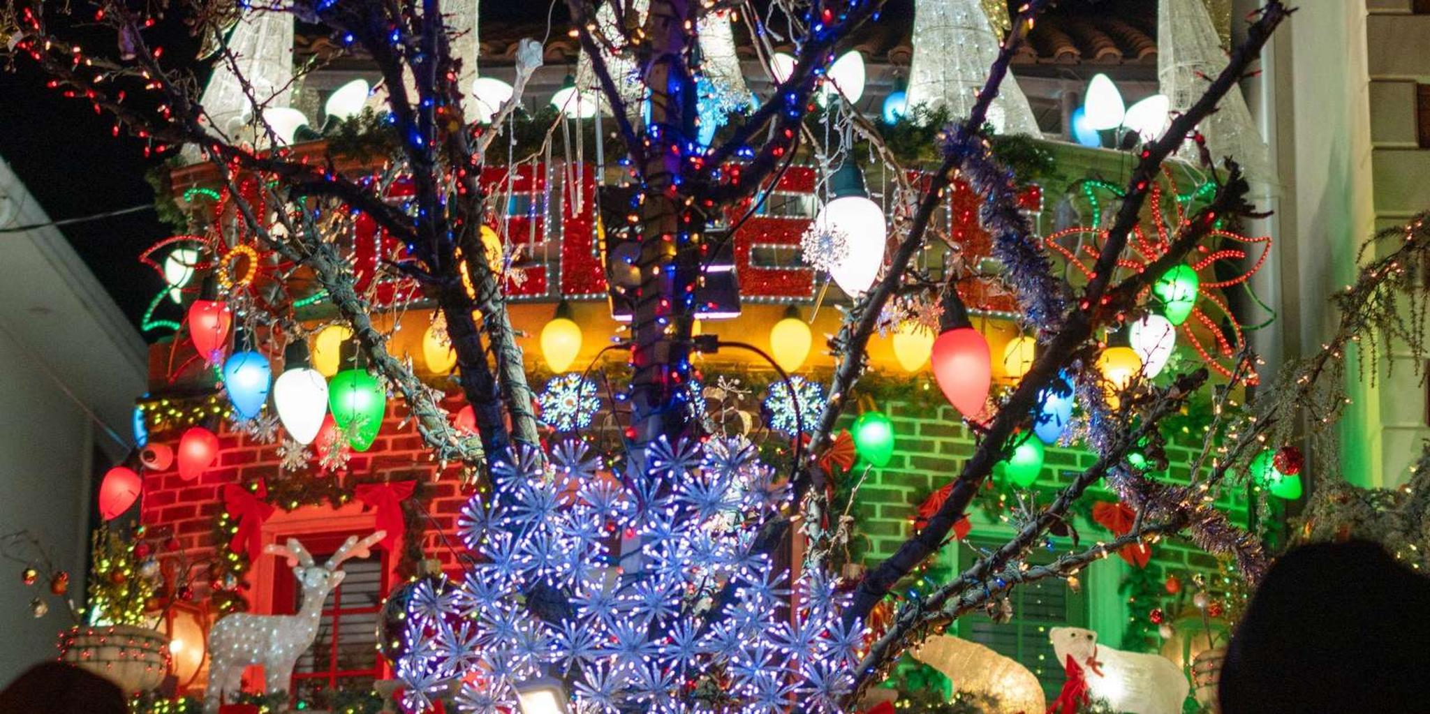 New York City Dyker Heights Christmas Lights Tour - Image 2