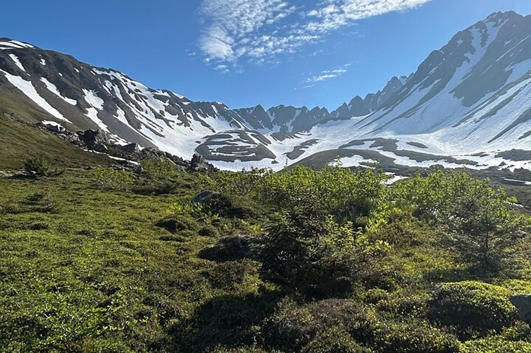 Seward Hiking Tour on Mount Marathon
