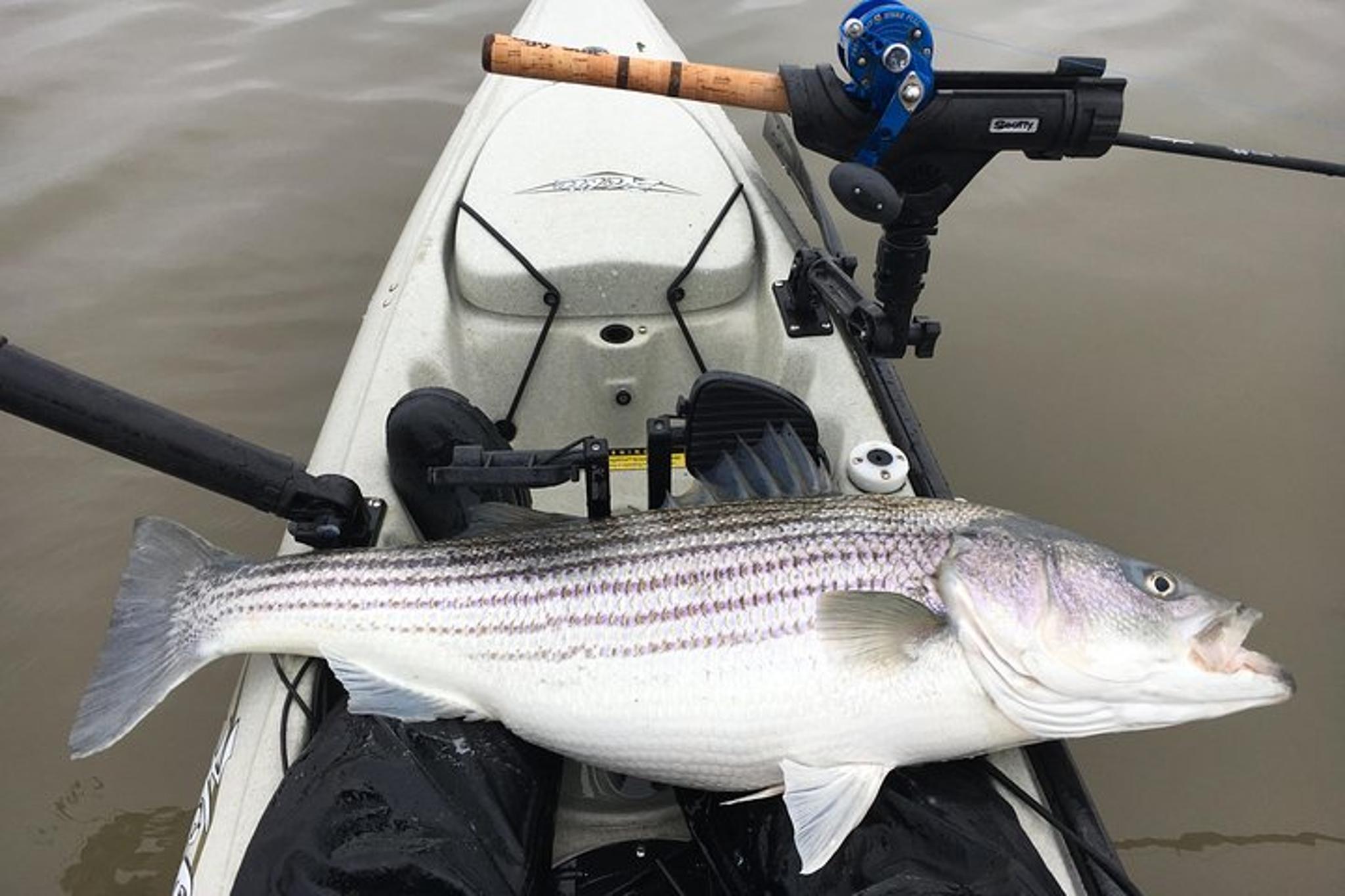 New York City Kayak Fishing Tour
