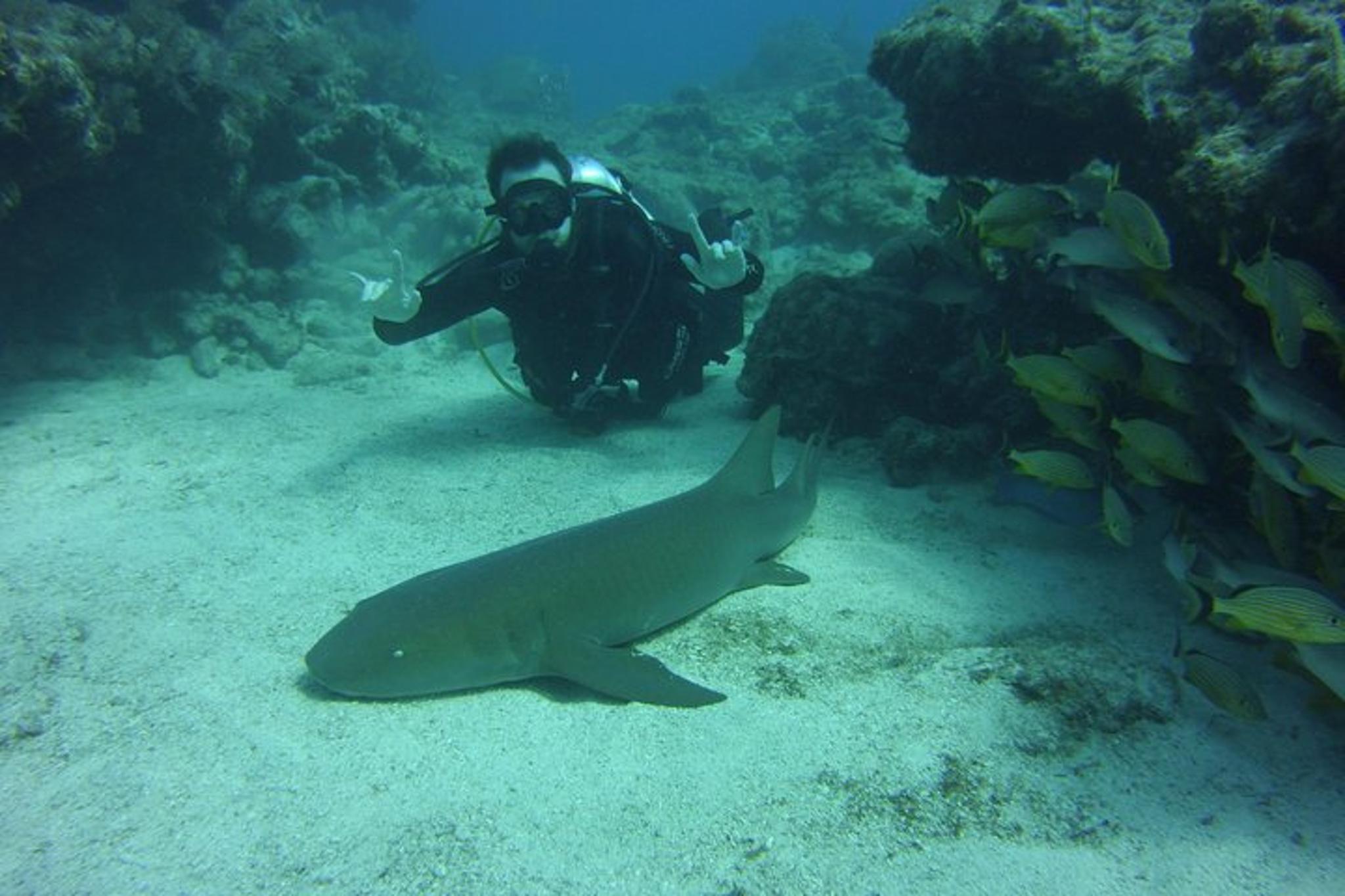 Key Largo SCUBA Dive Reef Experience - Image 2