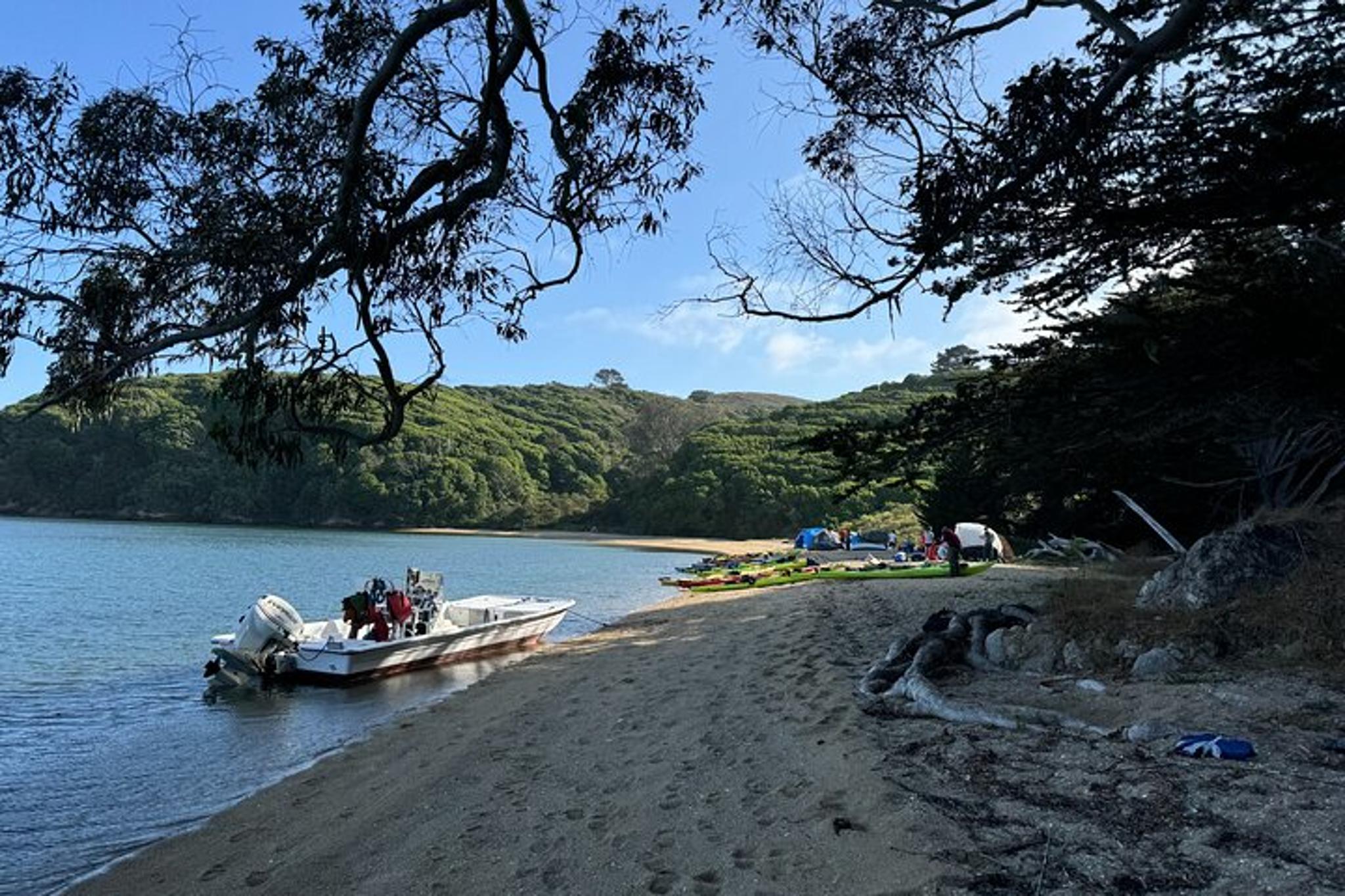Point Reyes Sea Kayak Adventure - Image 3
