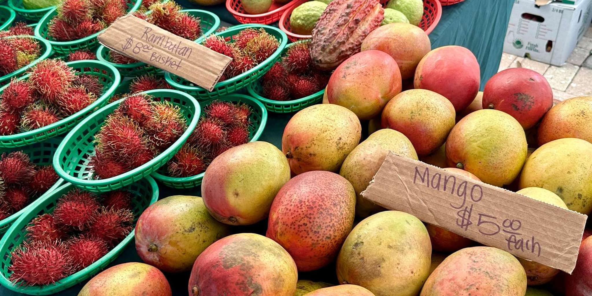 West Palm Beach Market Food Tour - Image 4