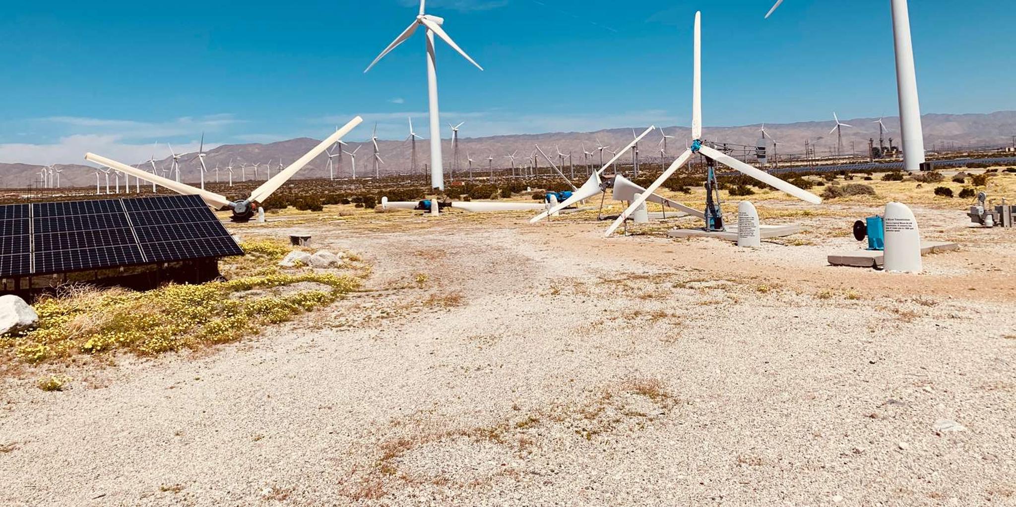 Palm Springs Self-Driving Windmill Tour - Image 5