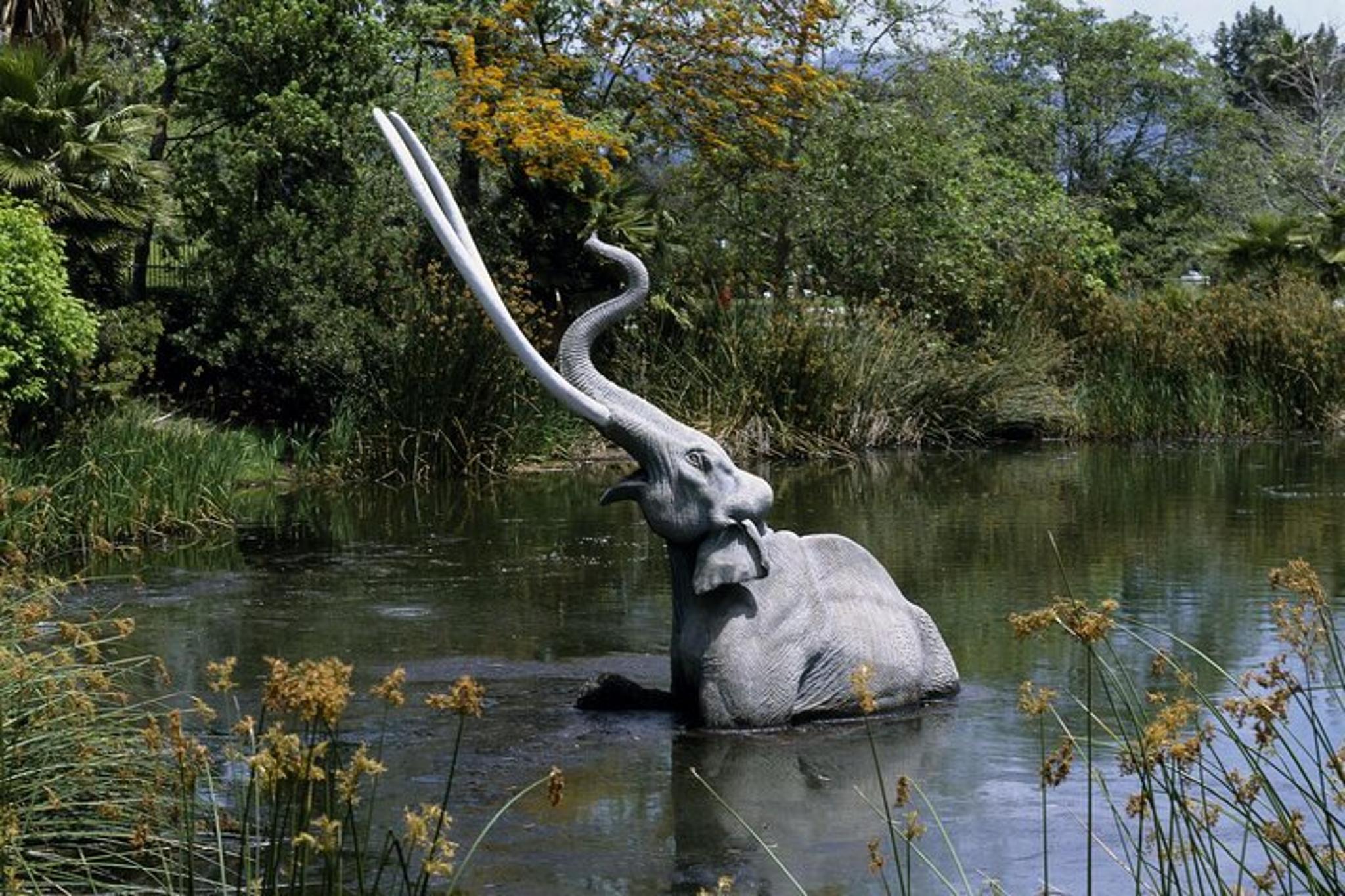 Los Angeles Private Tour with Historian and Naturalist - Image 4