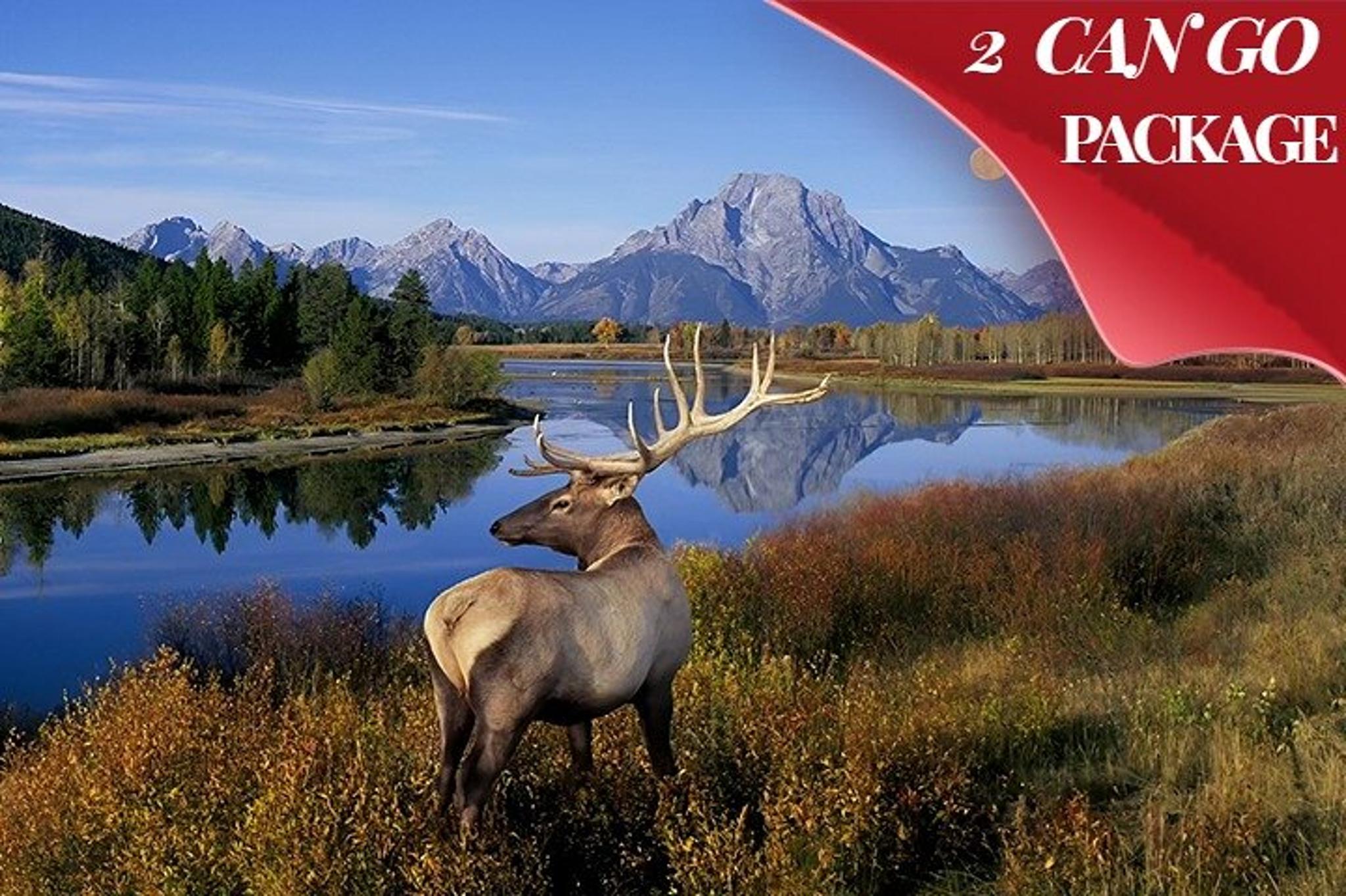 Yellowstone and Grand Teton 5-Day Small Group Tour