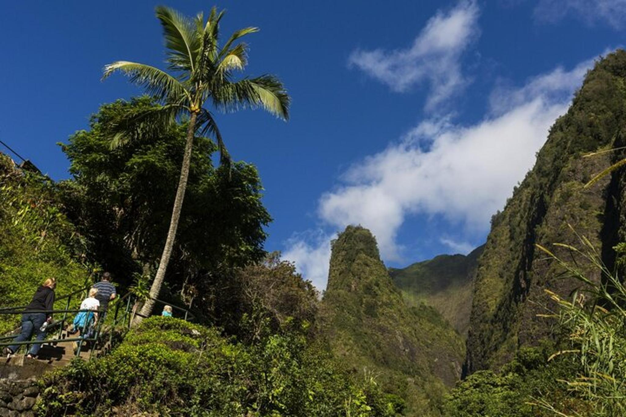 Maui Slingshot Tour from Kihei - Image 2