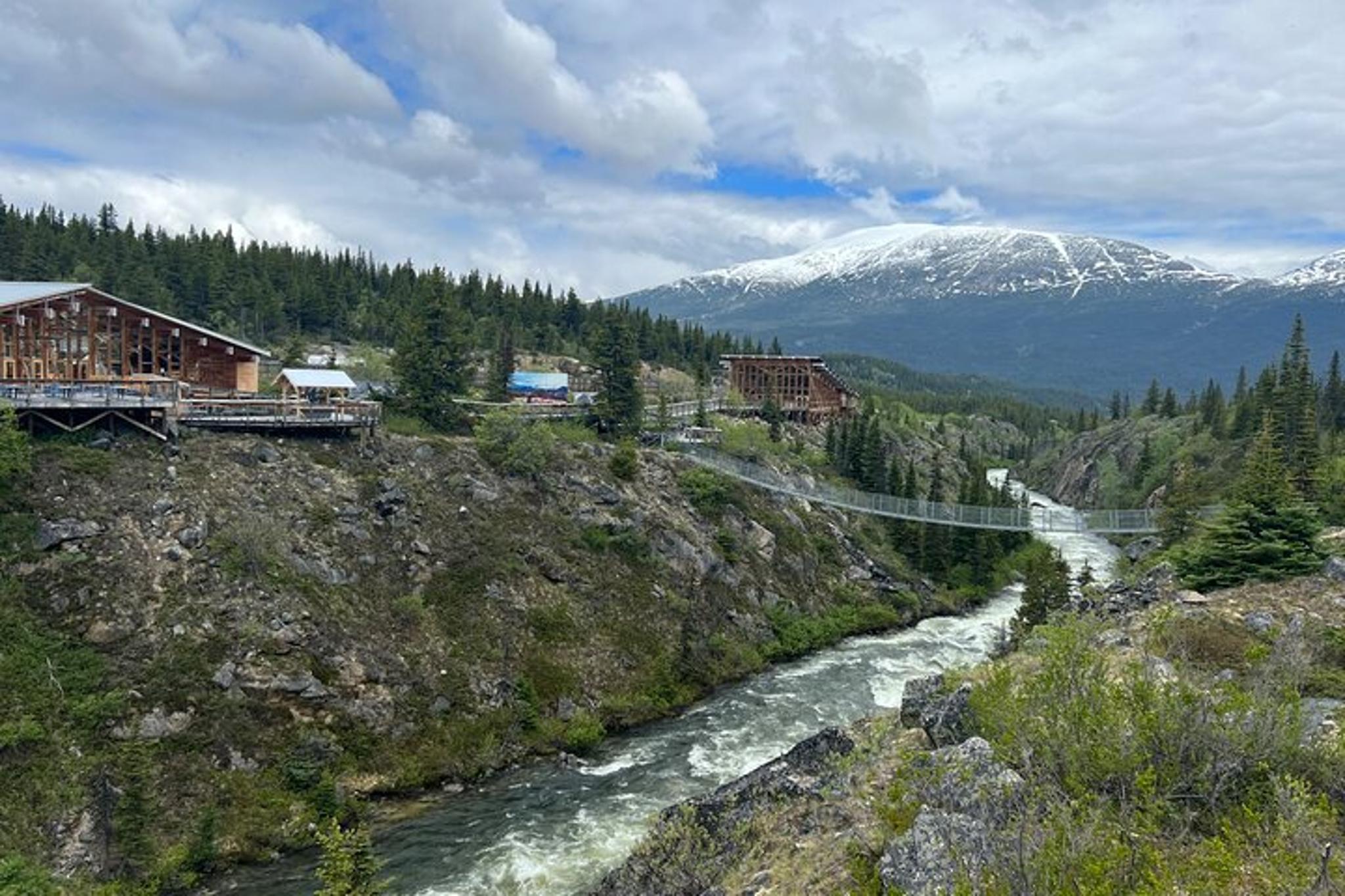 Skagway Suspension Bridge Tour - Image 6