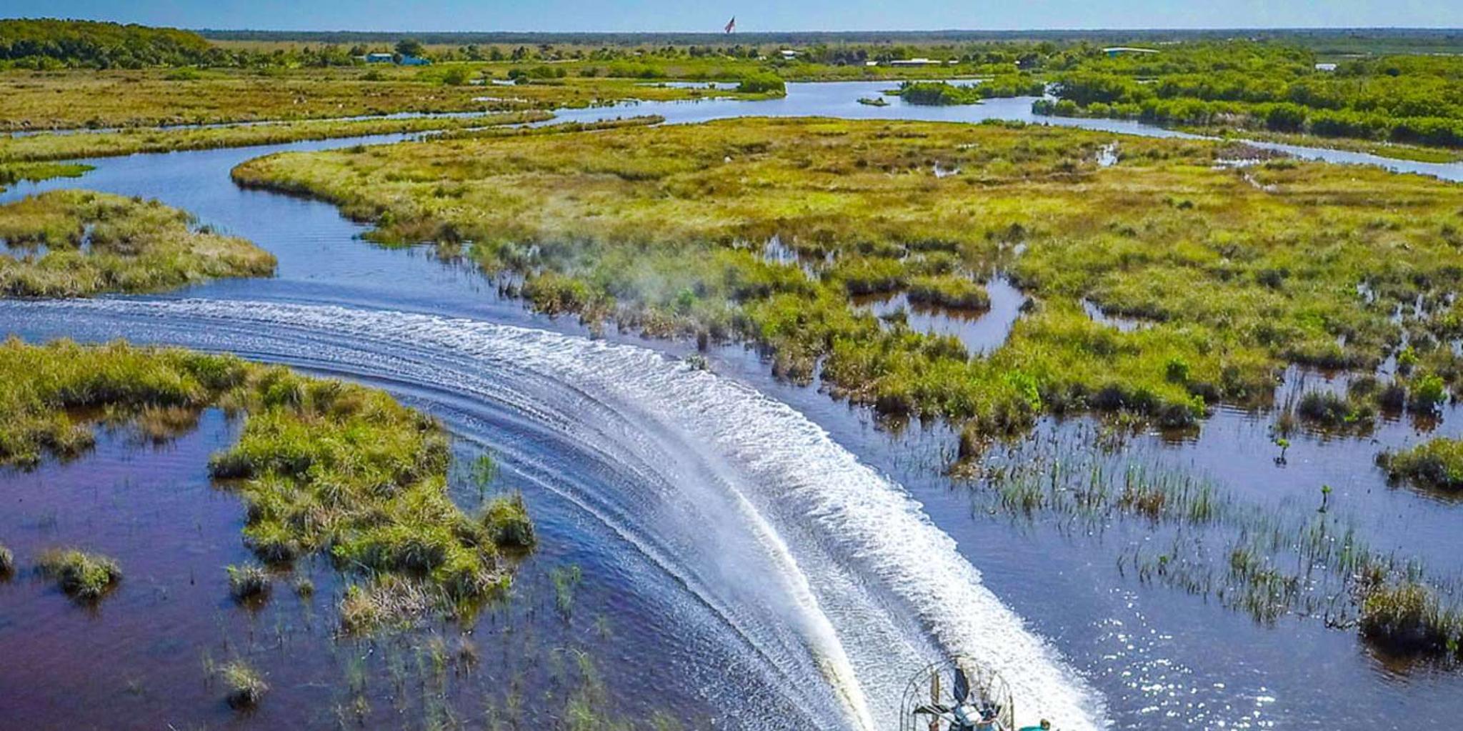 Orlando Everglades Airboat Tour and Wildlife Park - Image 4