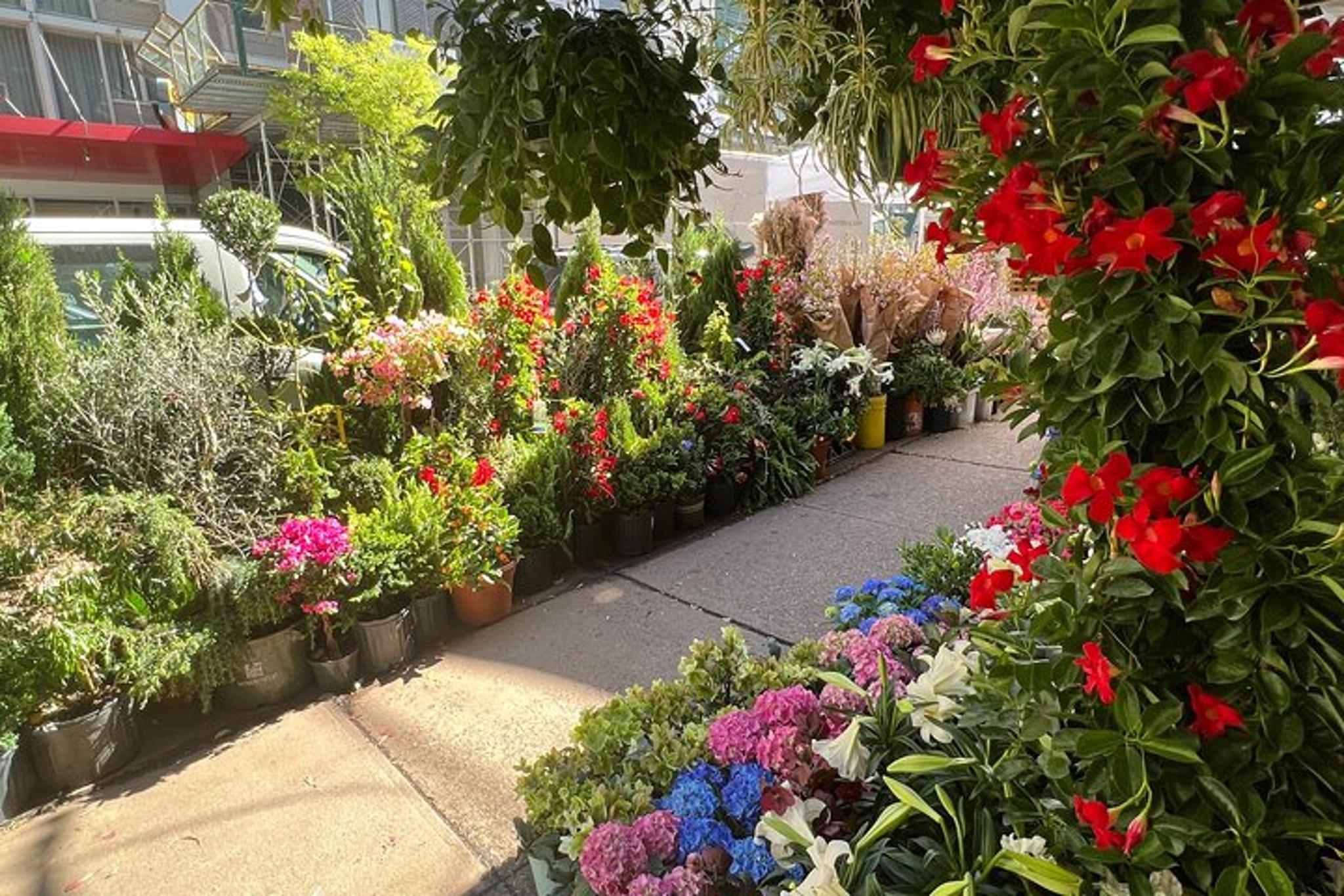 New York Flower Tour