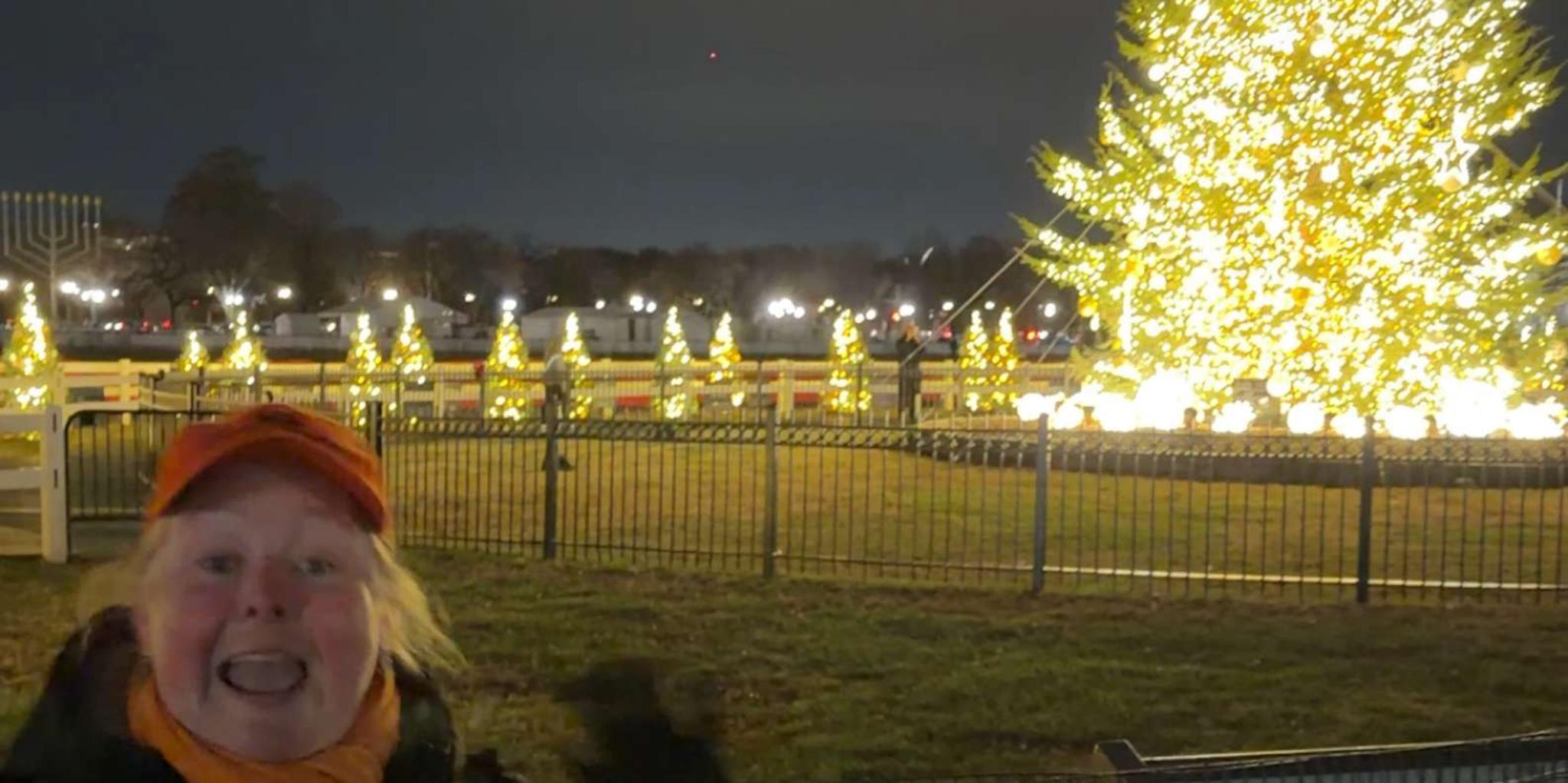 Washington D.C. Christmas Tree & Holiday Lights Tour - Image 4