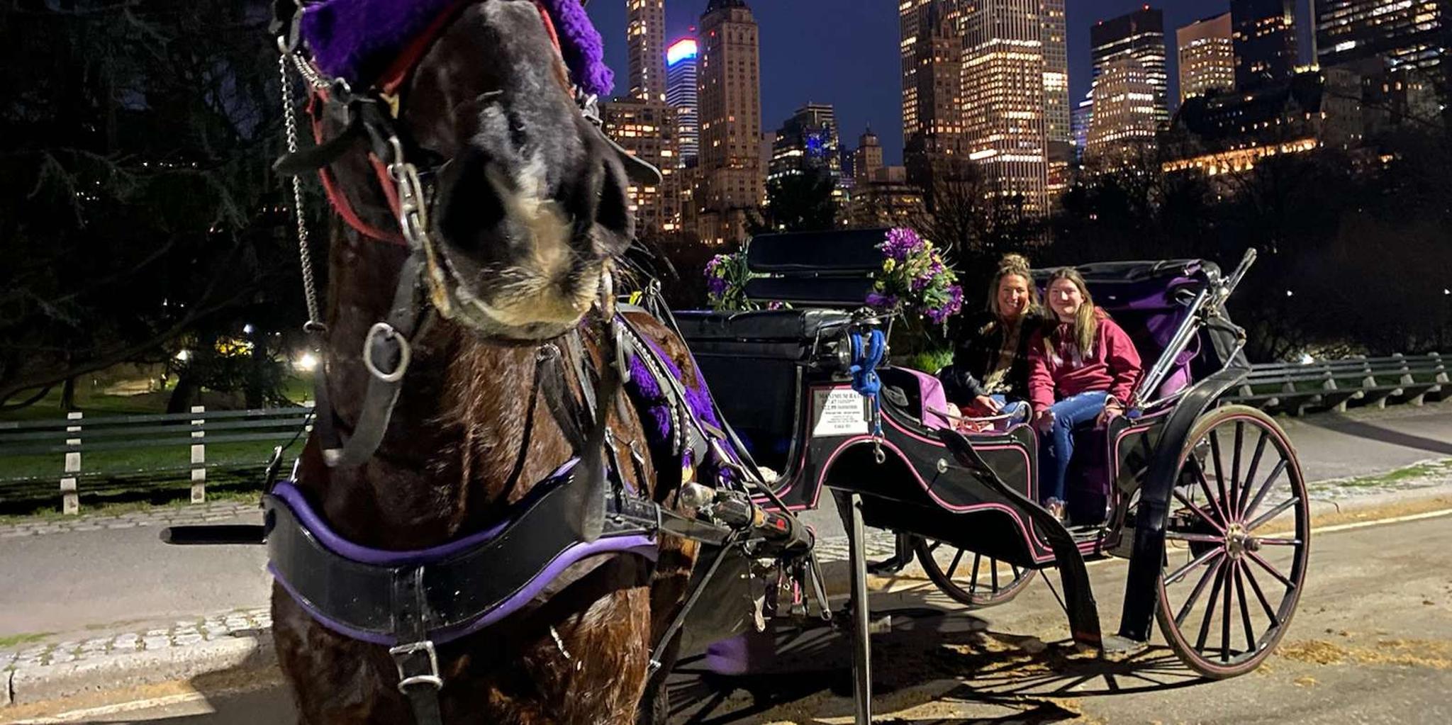 New York City Christmas Lights Horse Carriage Ride - Image 4