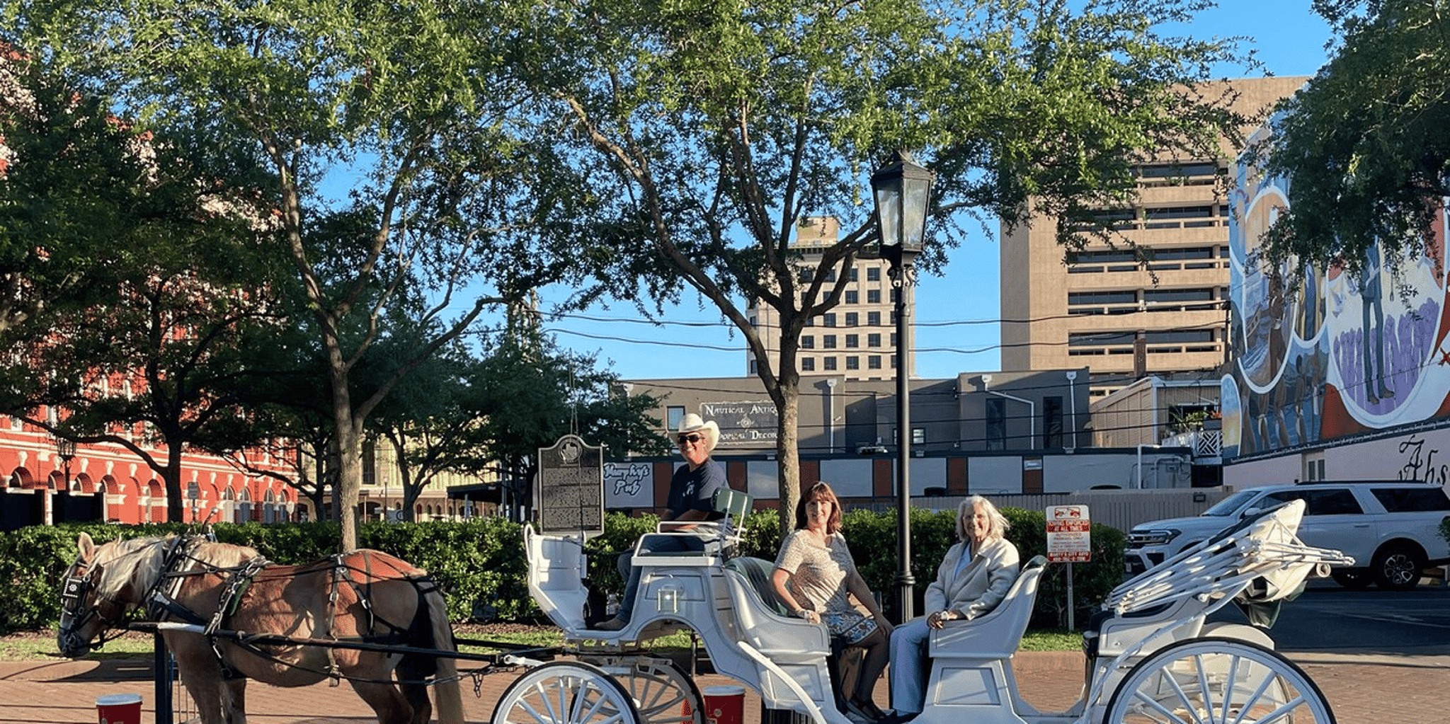 Galveston Historic Carriage Tour