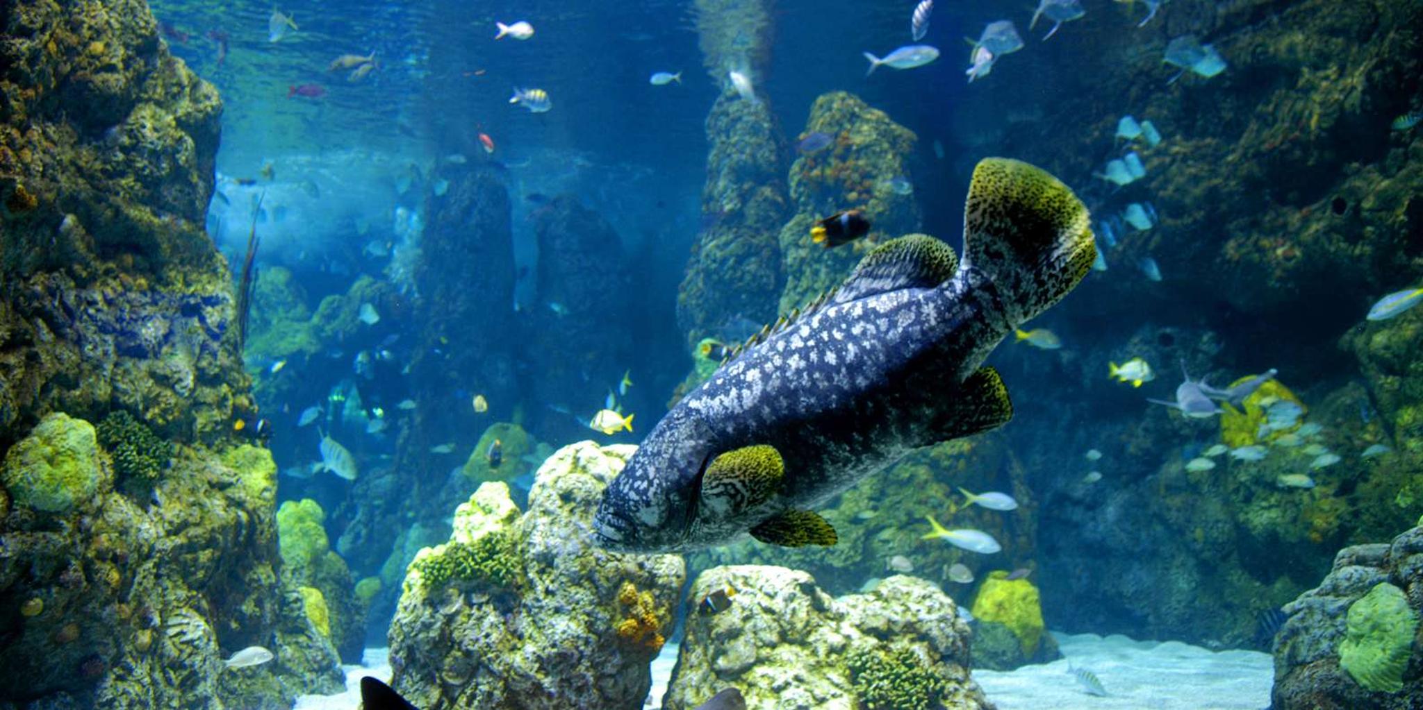 Denver CityPASS Attractions Tour - Image 3