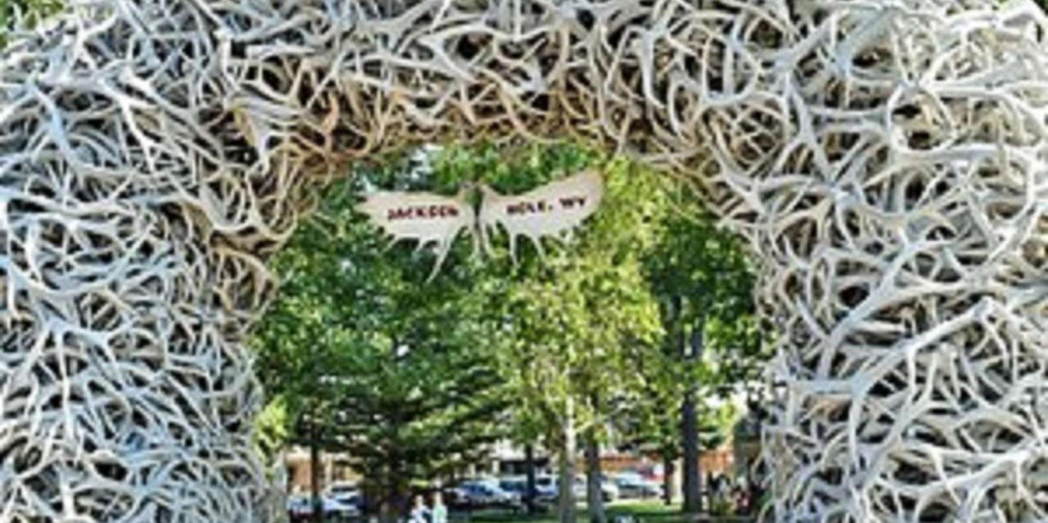 Denver National Parks Tour 6-Day - Image 6