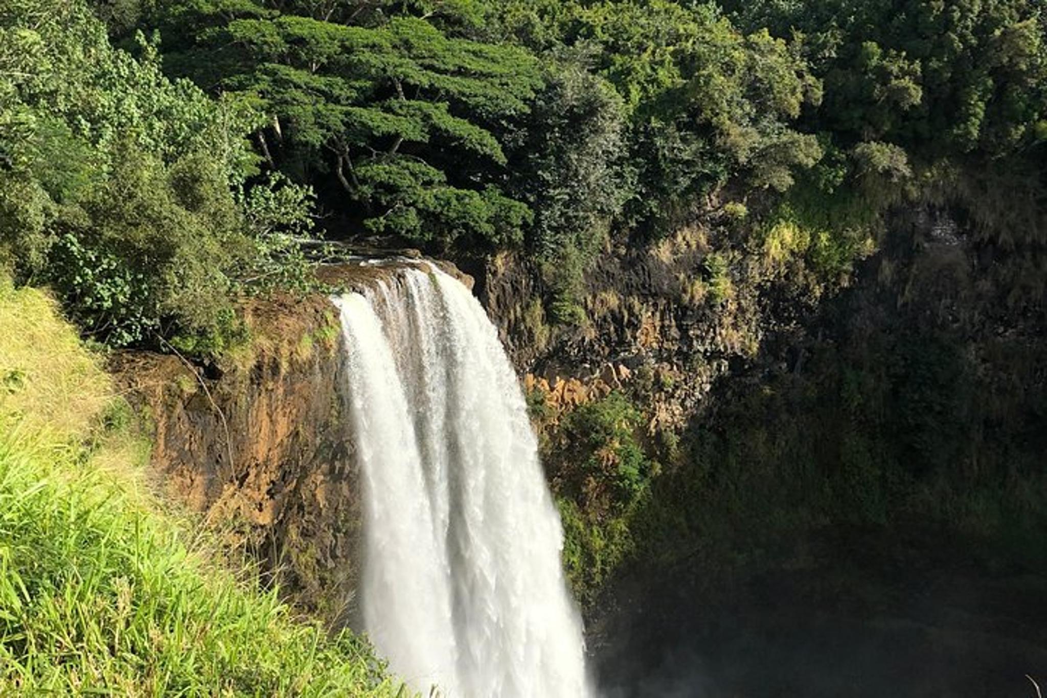Kauai Private Tour: Waimea Canyon and Southside - Image 5