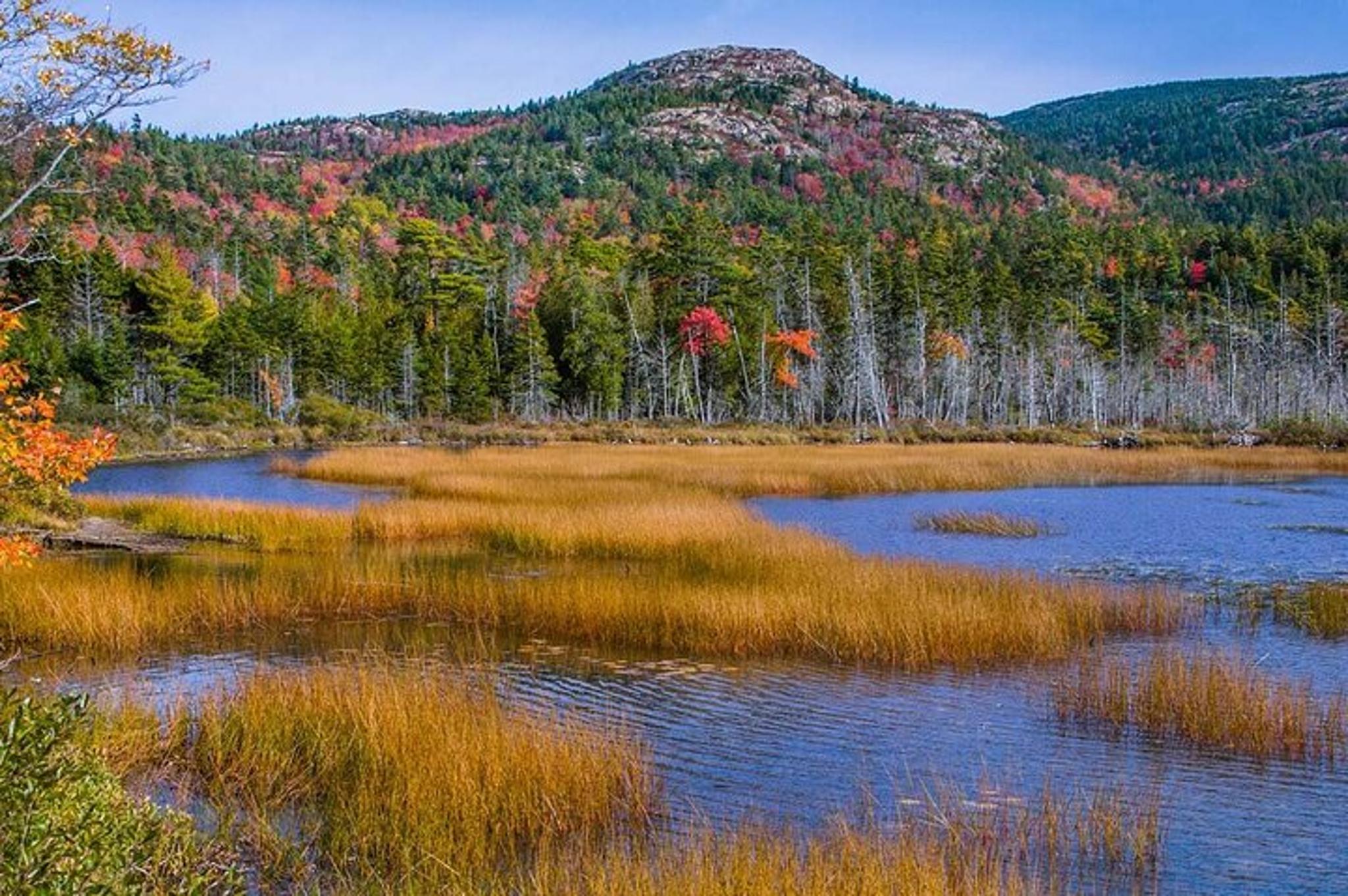 Bar Harbor Acadia Tour with Somes Sound & Villages 3 hr - Image 6