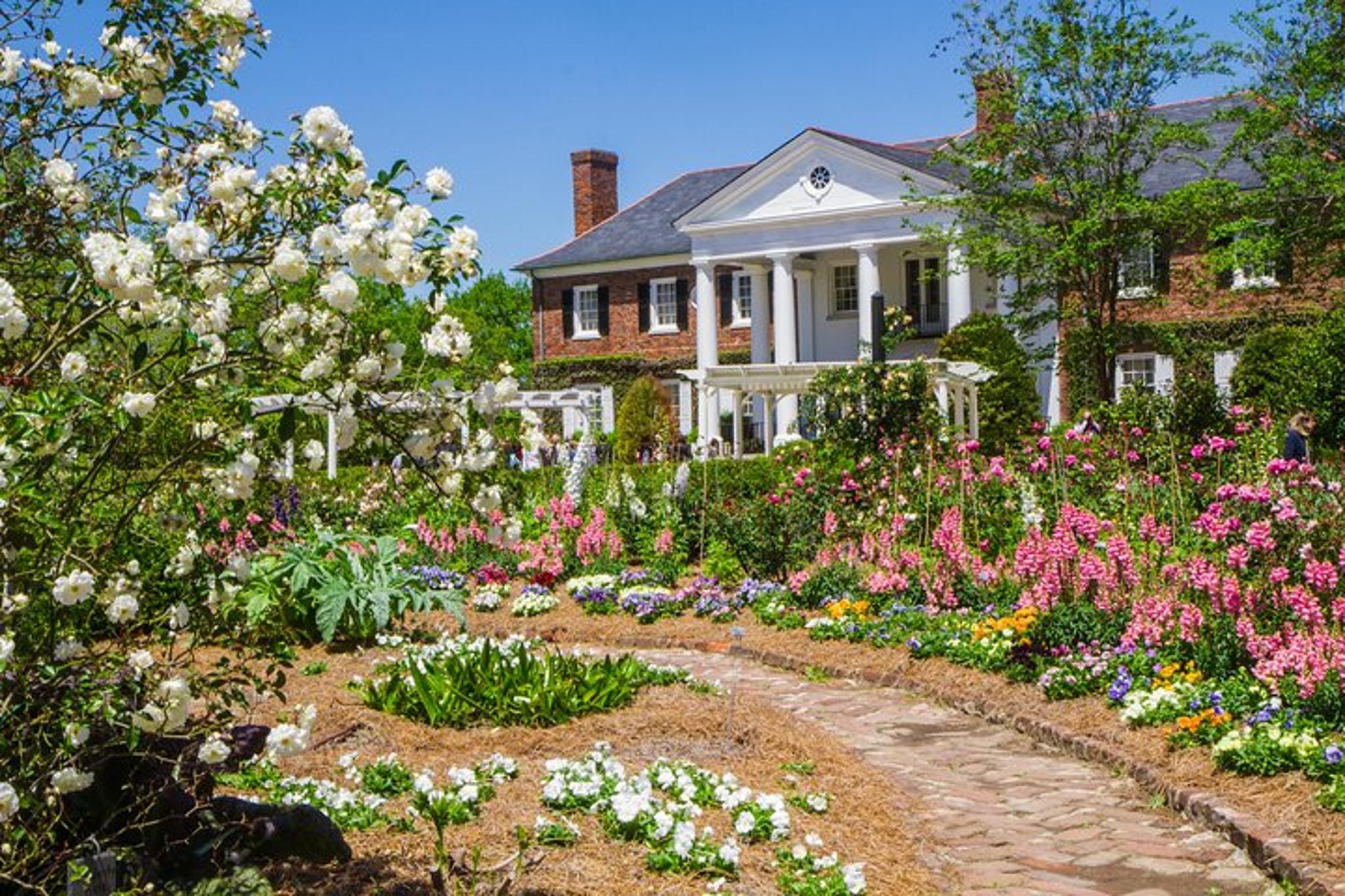 Charleston Plantation Tour at Boone Hall - Image 2