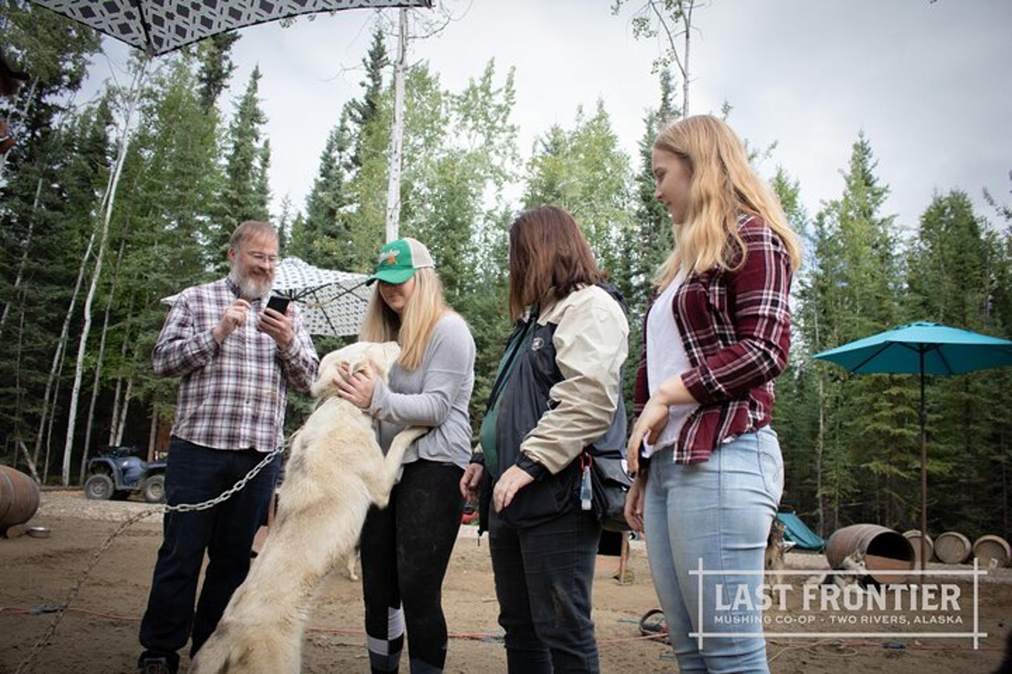 Fairbanks Sled Dog Mushing Cart Ride - Image 6