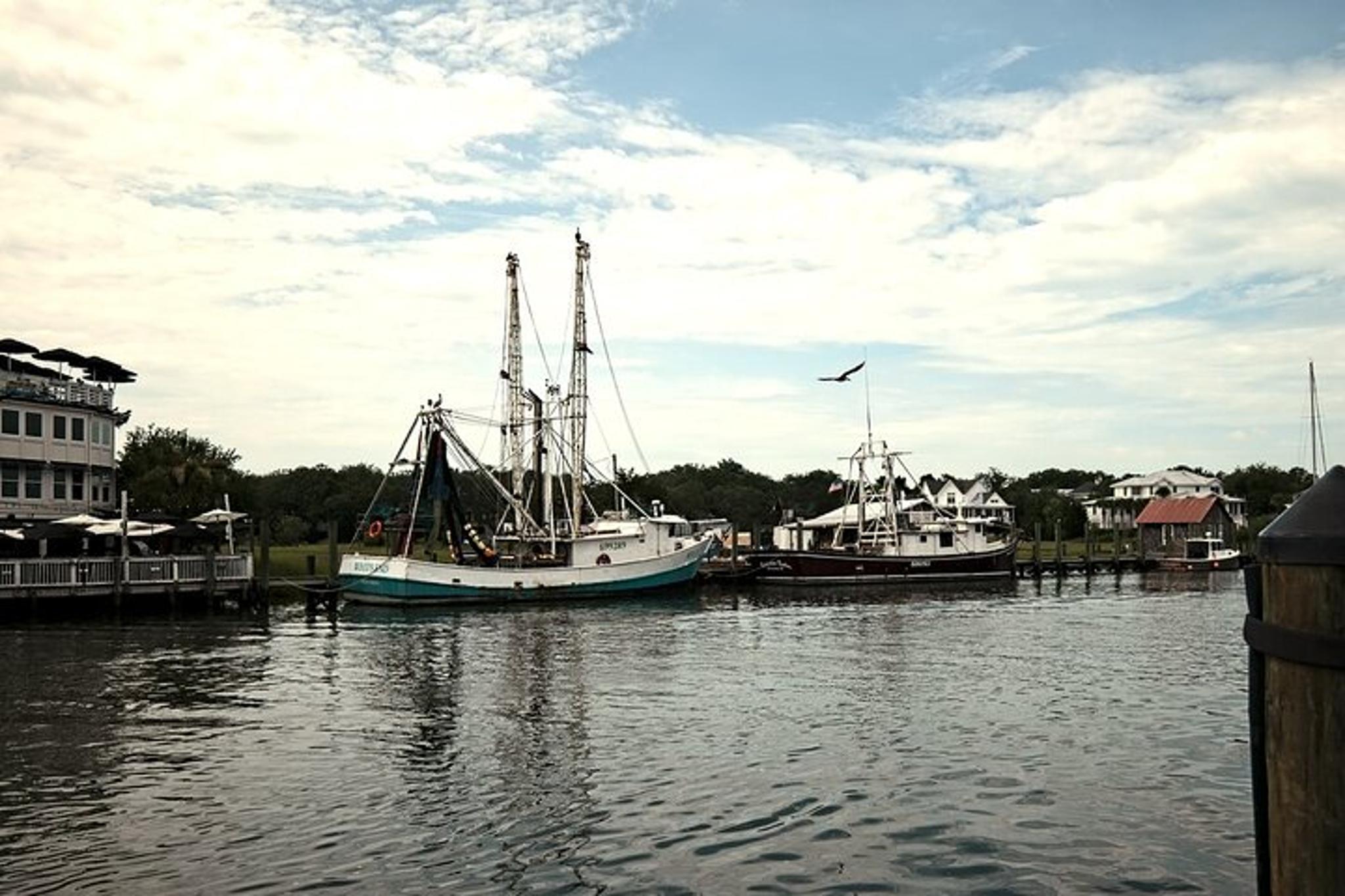 Shem Creek Shrimp Walking Tour - Image 5
