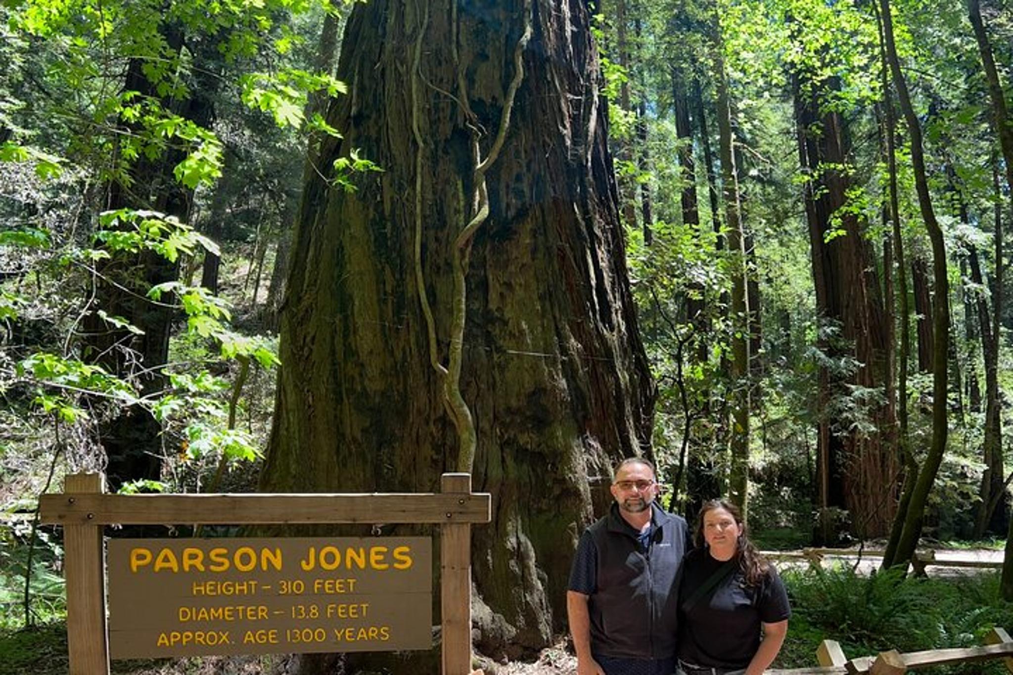 Napa Valley Food and Wine Pairing with Redwoods Exploration - Image 1