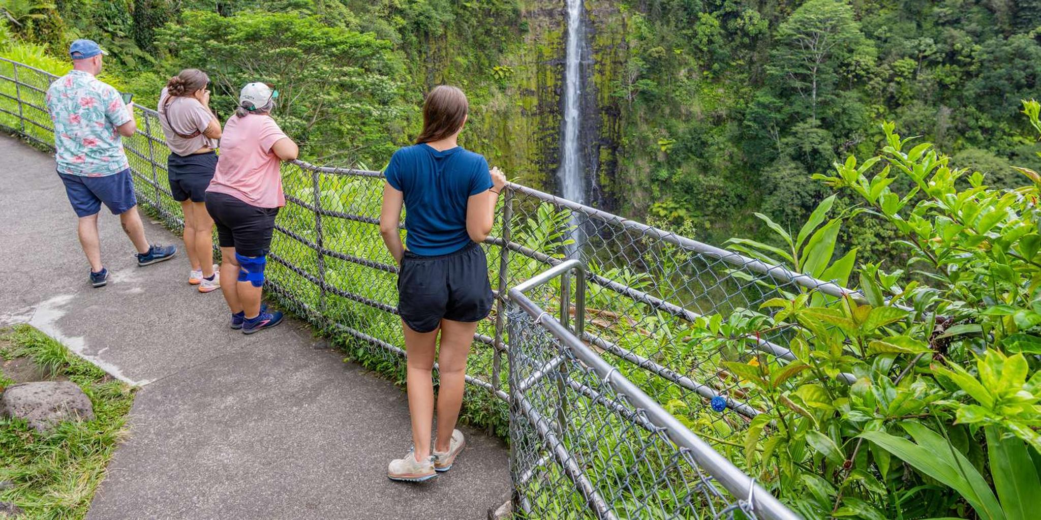 Hilo Volcanoes and Waterfalls Private Tour - Image 3