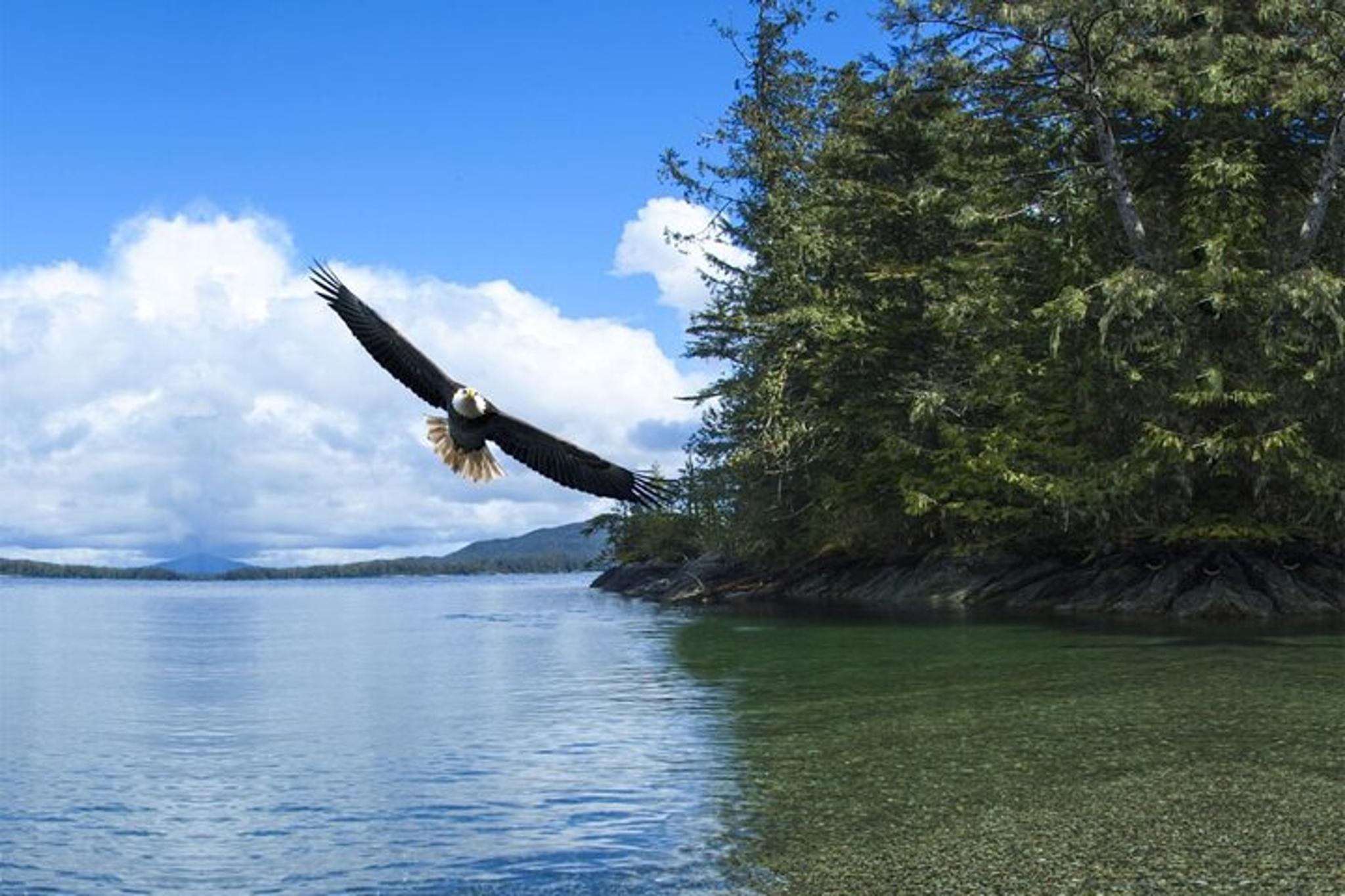 Ketchikan Private Tour with Pick Up - Image 6