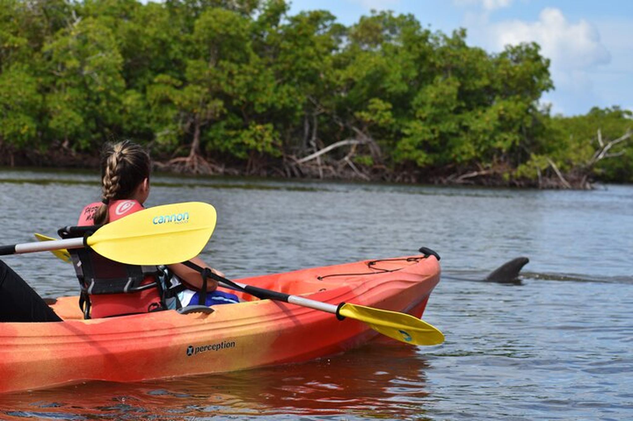 Marco Island Mangrove Kayak Tour with Photographer - Image 4