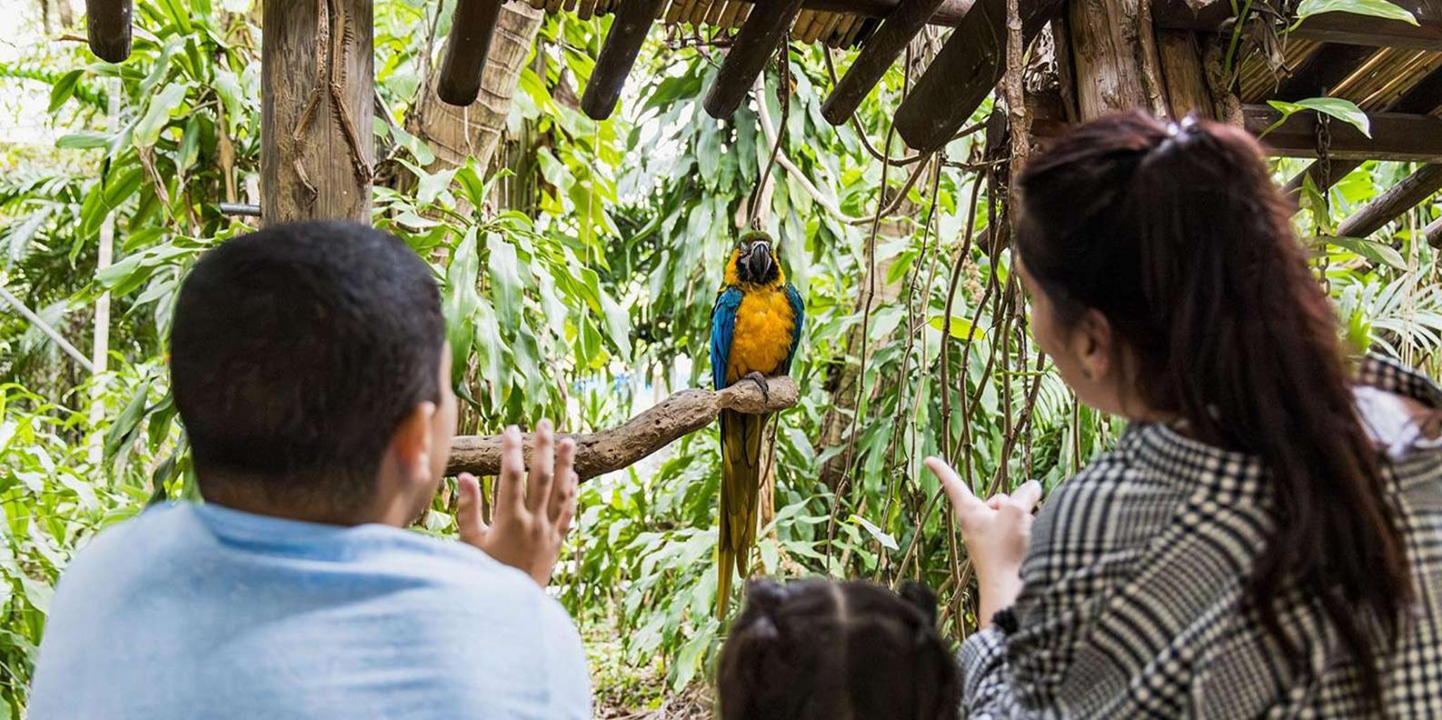 Miami Jungle Island General Admission