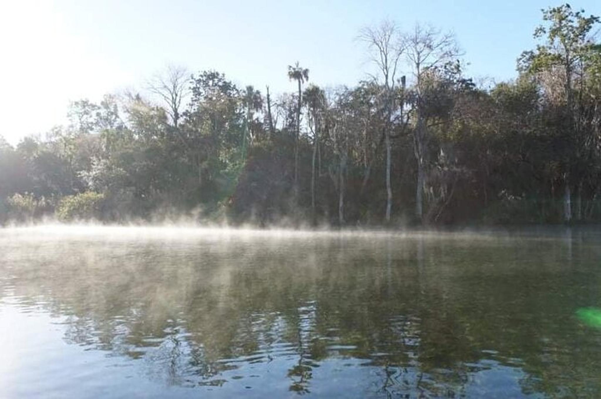 Chassahowitzka River Kayak Tour - Image 4