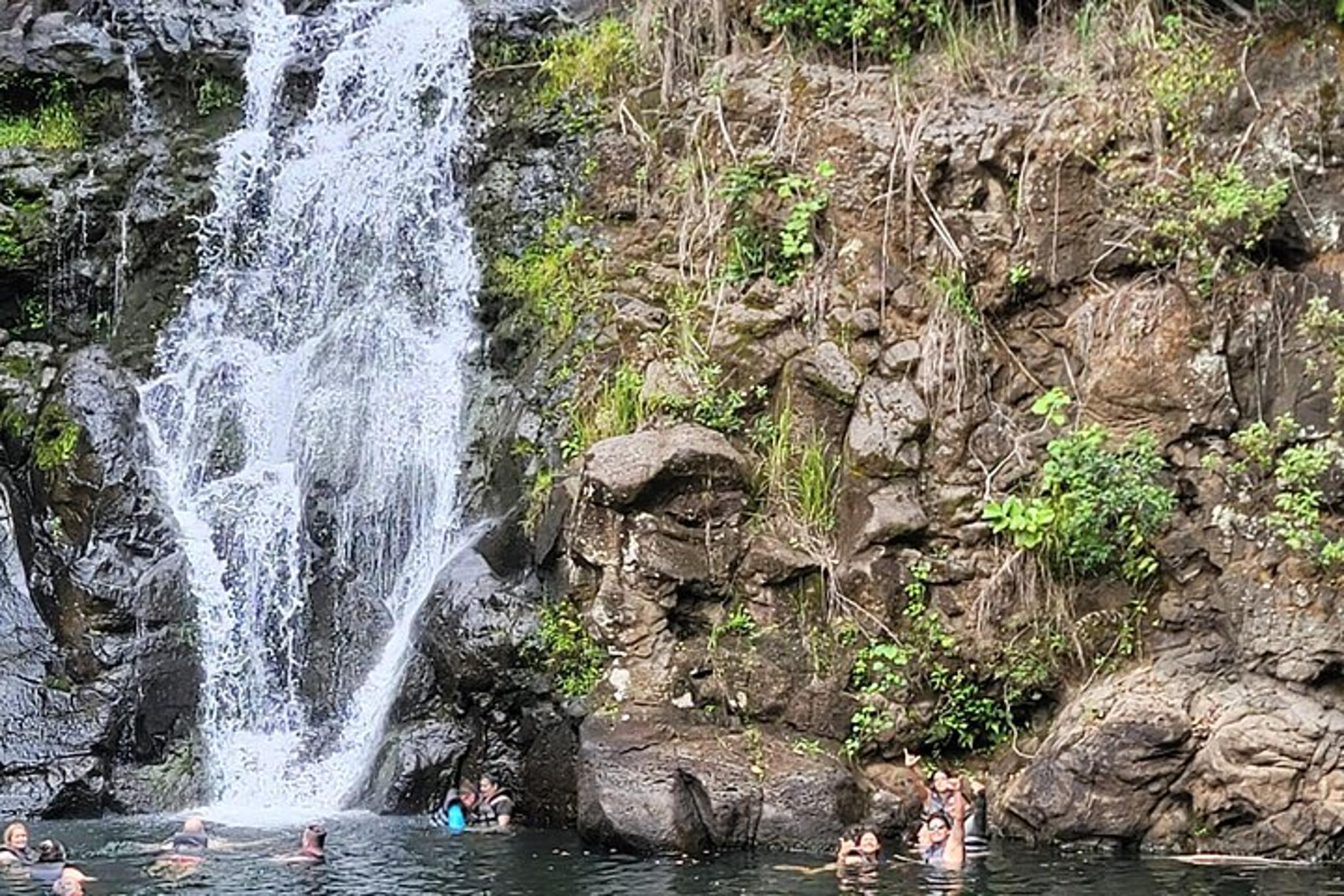 Oahu Botanical Garden and Pali Lookout Tour - Image 5