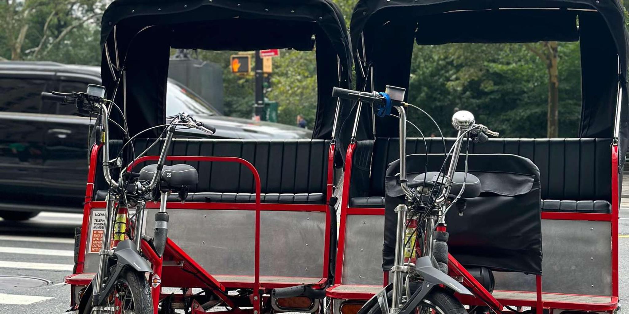 New York City Central Park Pedicab Tour