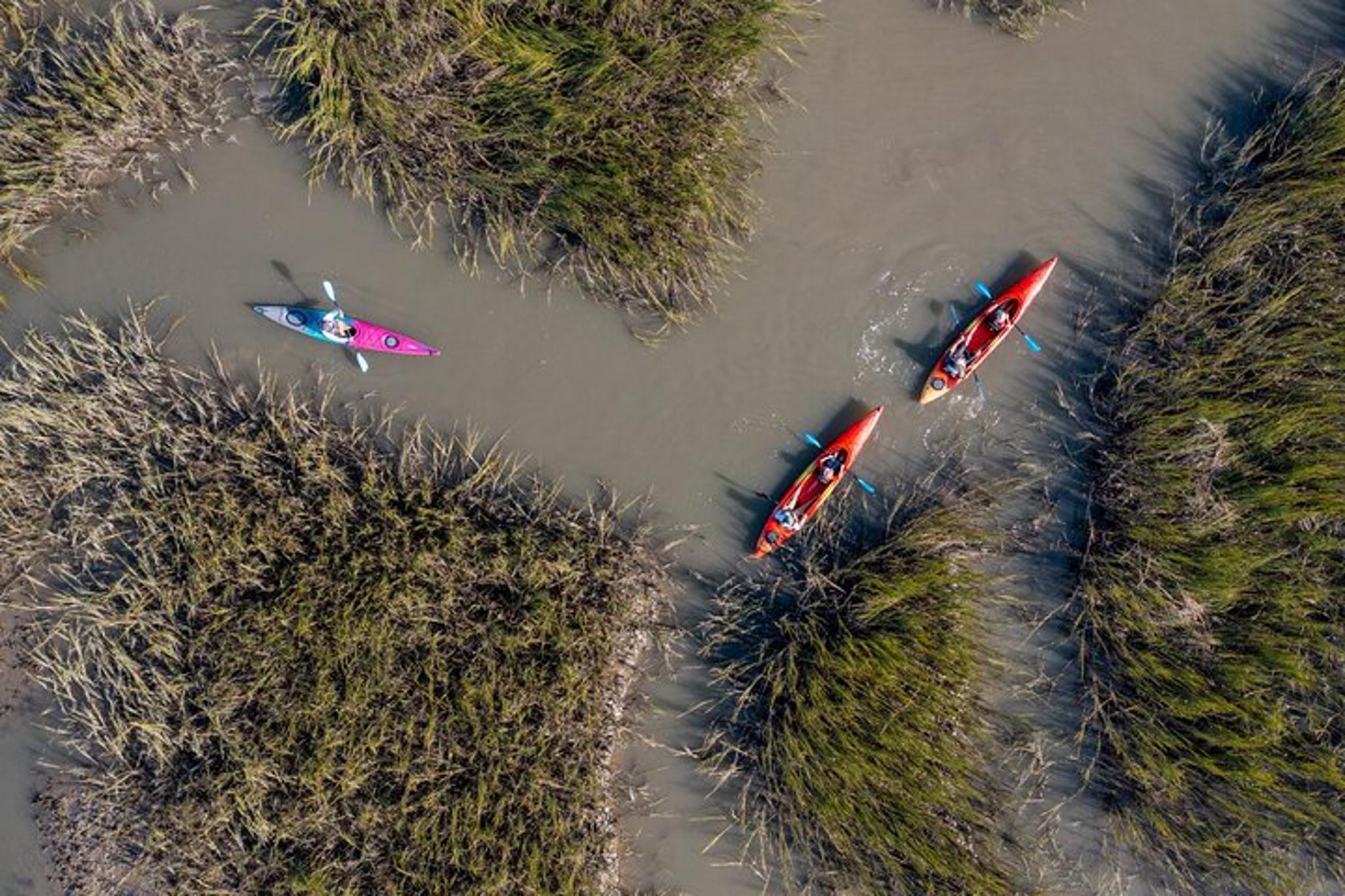 Folly Beach Dolphin Kayak Tour