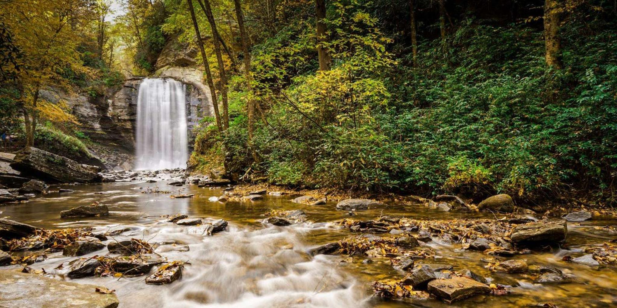 Asheville Waterfalls Hiking Tour - Image 5