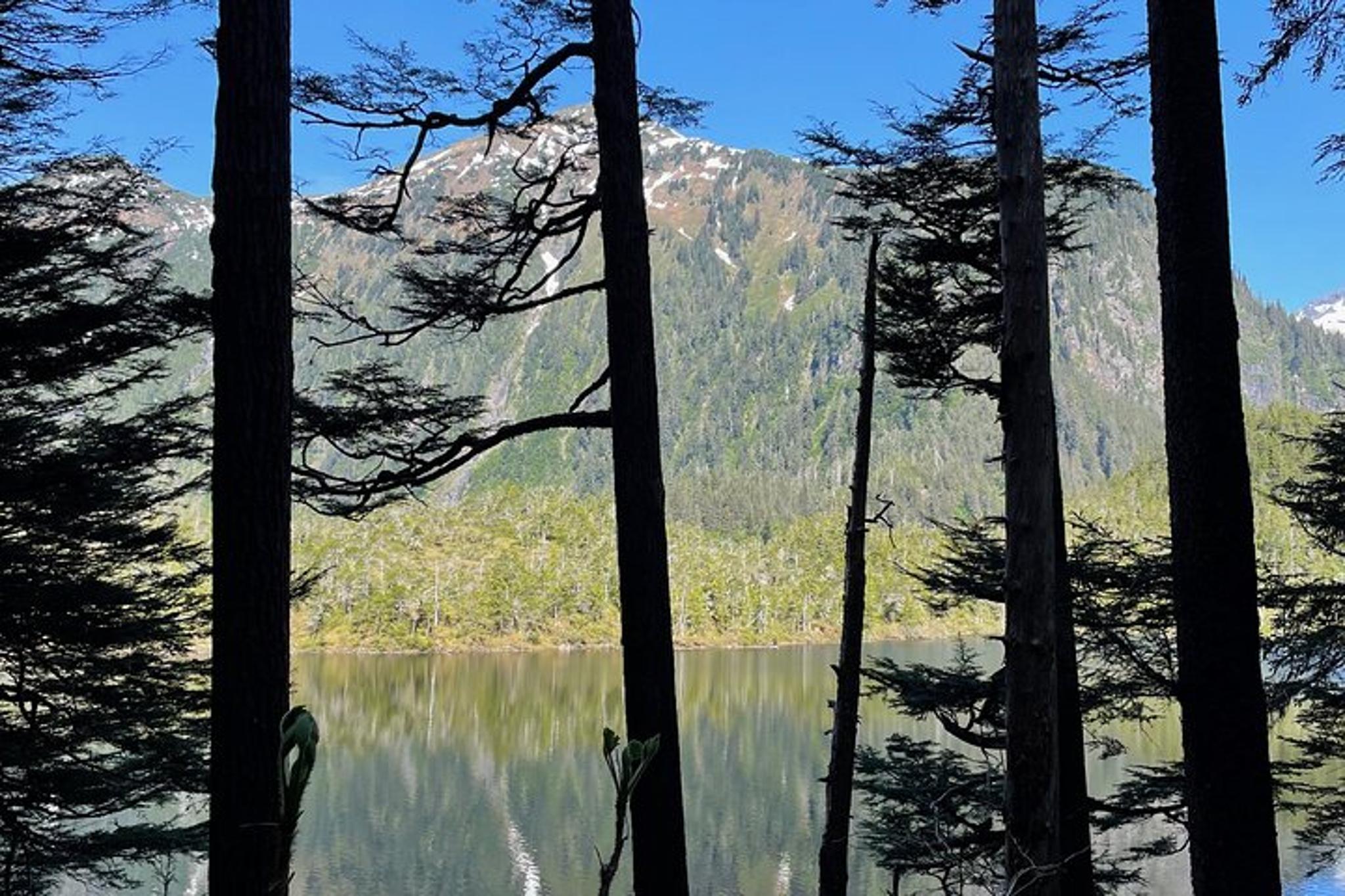 Sitka Guided Hike to Beaver Lake - Image 1